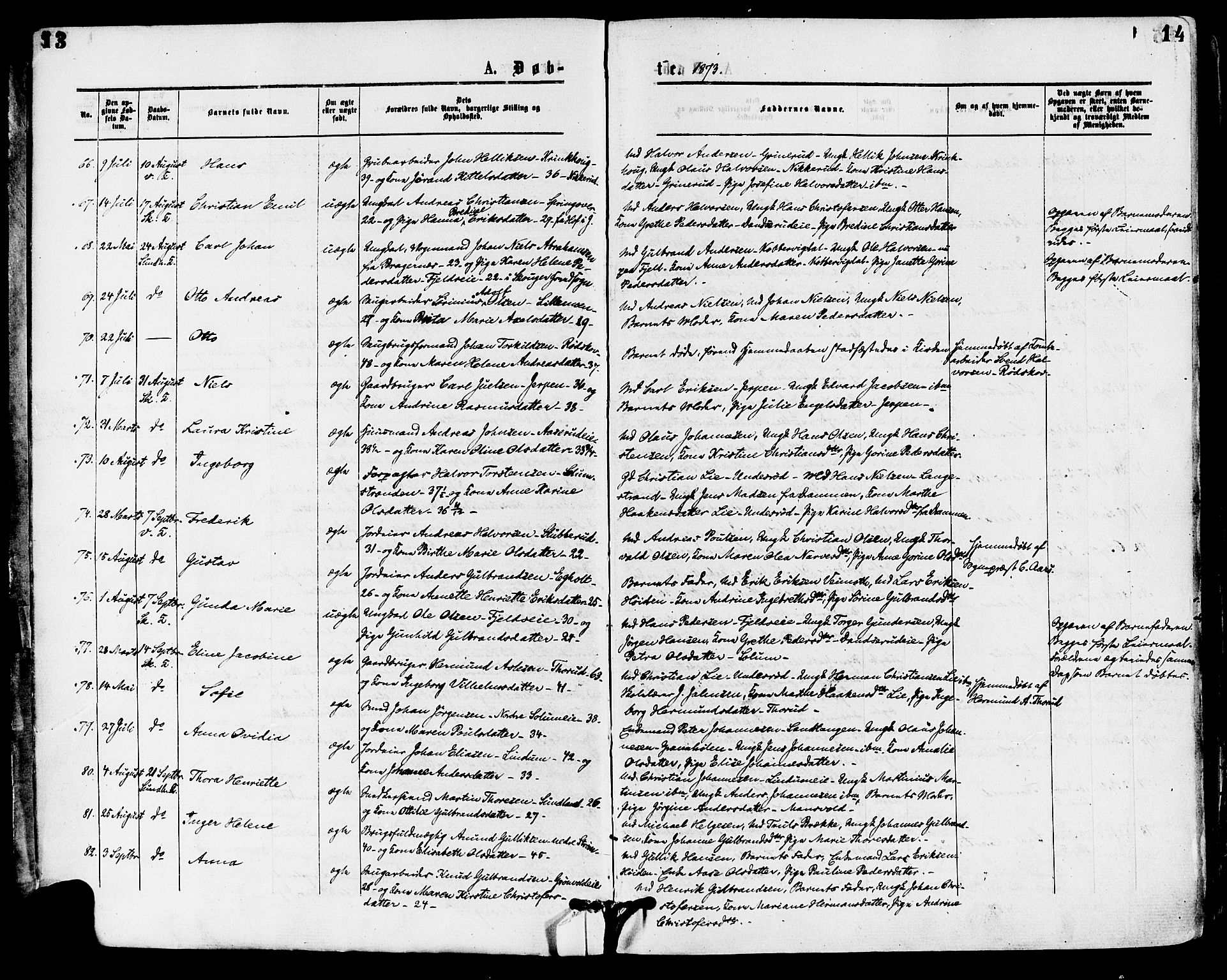 Skoger kirkebøker, AV/SAKO-A-59/F/Fa/L0005: Ministerialbok nr. I 5, 1873-1884, s. 13-14