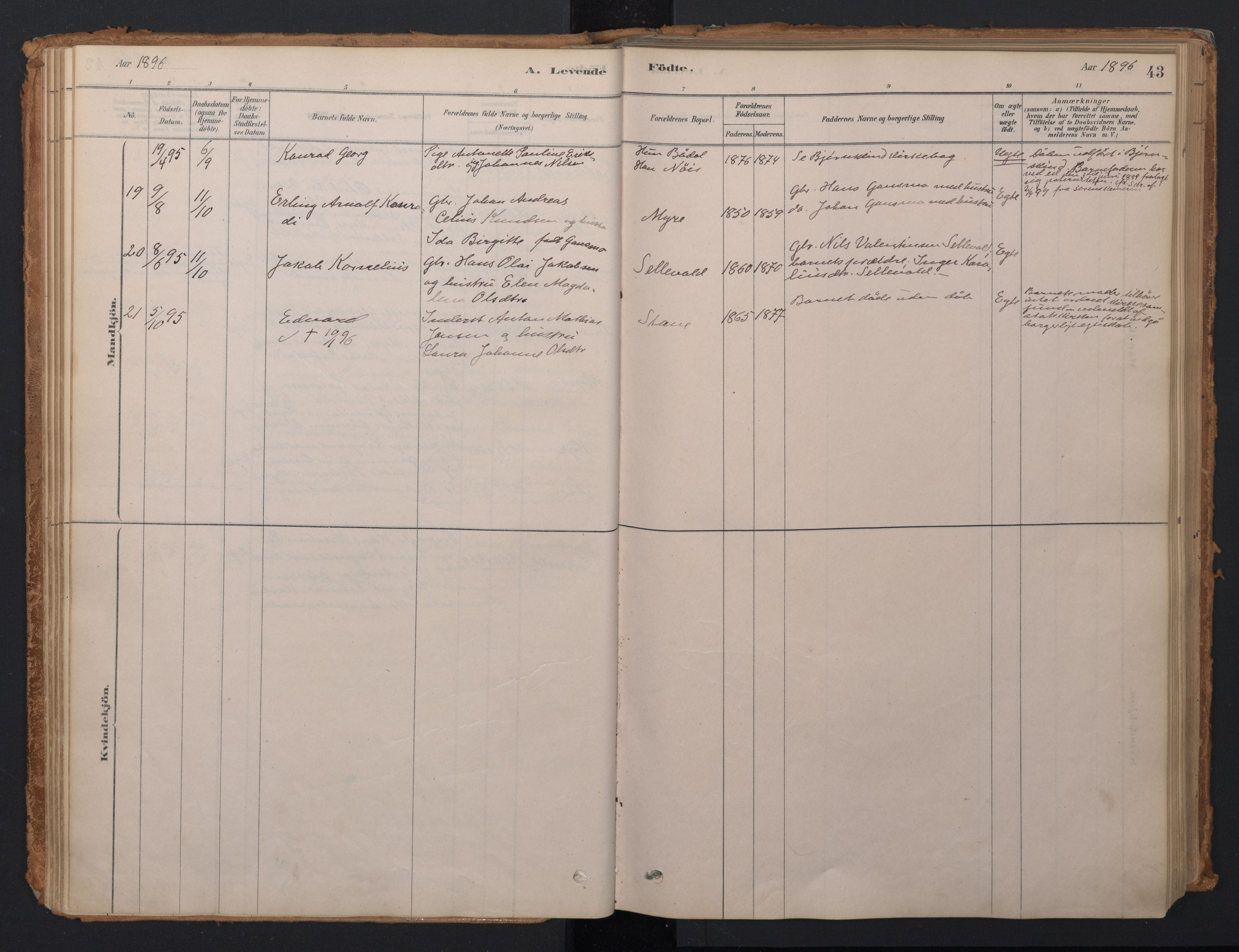 Ministerialprotokoller, klokkerbøker og fødselsregistre - Nordland, AV/SAT-A-1459/897/L1399: Ministerialbok nr. 897A06, 1881-1896, s. 43