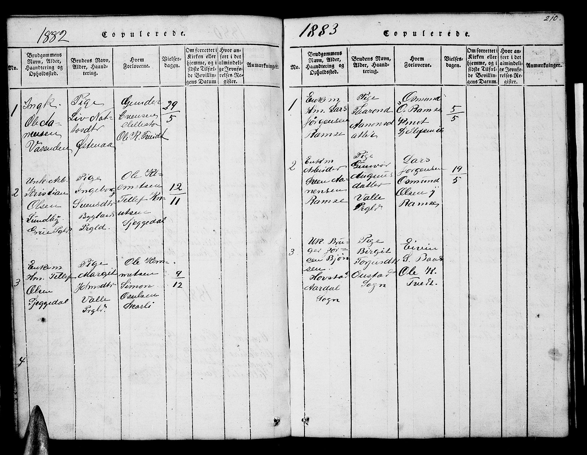Åmli sokneprestkontor, SAK/1111-0050/F/Fb/Fbb/L0001: Klokkerbok nr. B 1, 1816-1889, s. 210