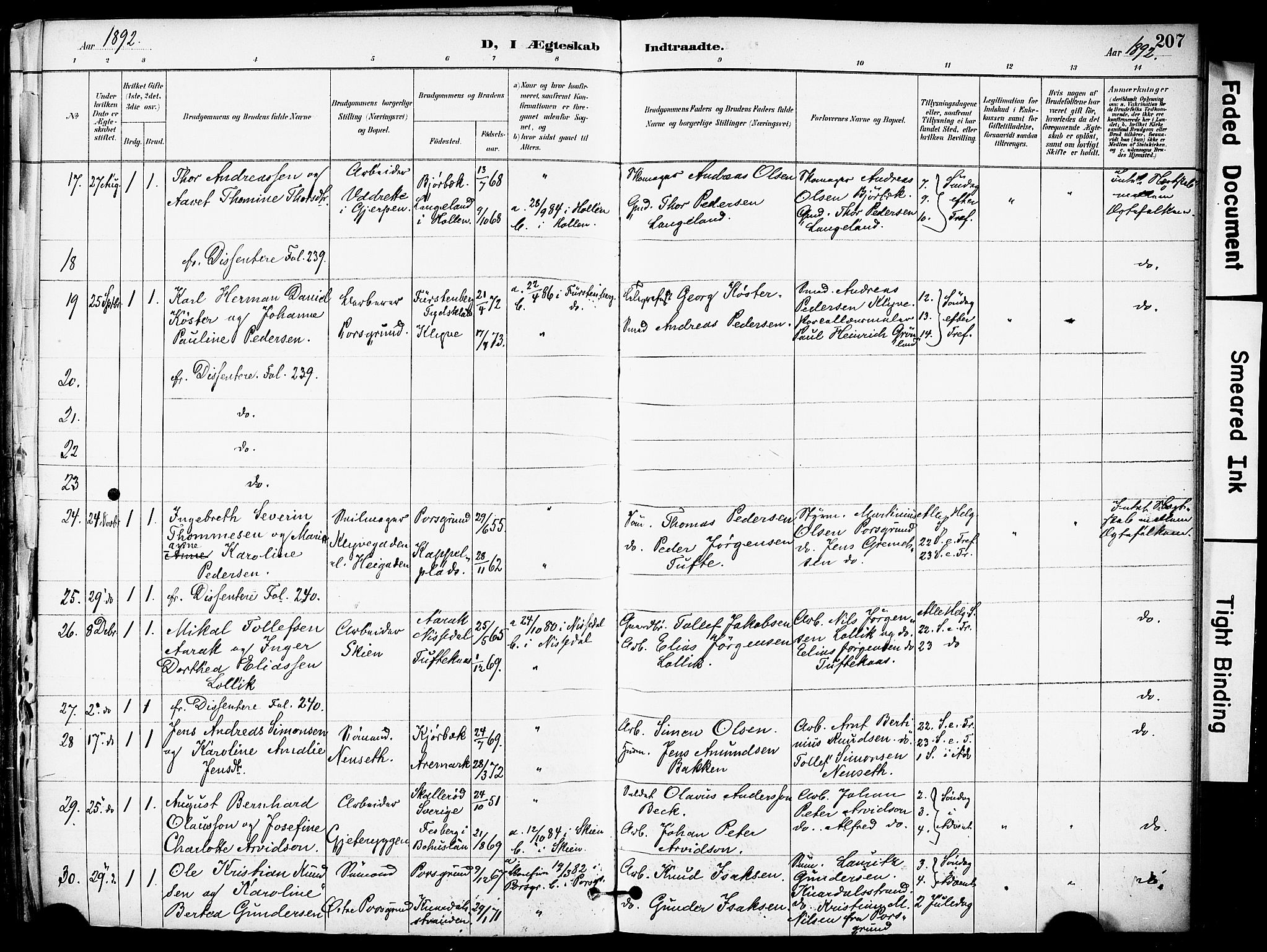 Solum kirkebøker, AV/SAKO-A-306/F/Fa/L0010: Ministerialbok nr. I 10, 1888-1898, s. 207