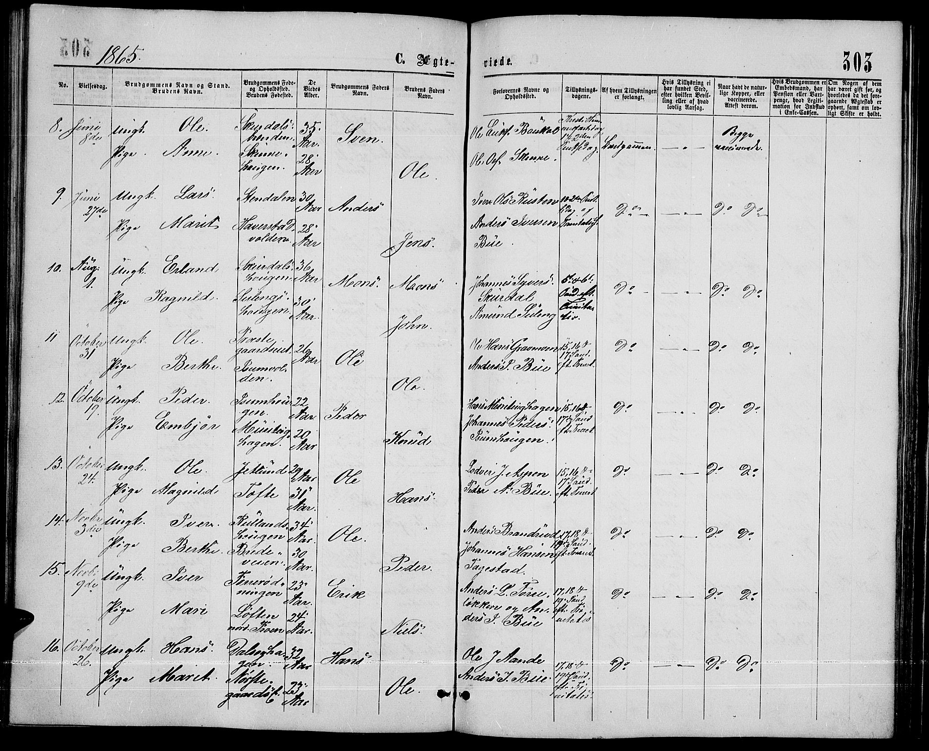Sør-Fron prestekontor, SAH/PREST-010/H/Ha/Hab/L0002: Klokkerbok nr. 2, 1864-1883, s. 303
