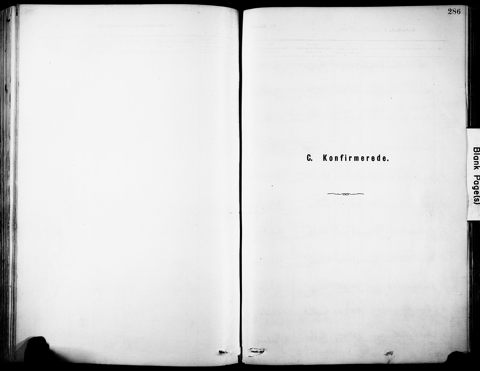 Sandar kirkebøker, SAKO/A-243/F/Fa/L0012: Ministerialbok nr. 12, 1883-1895, s. 286
