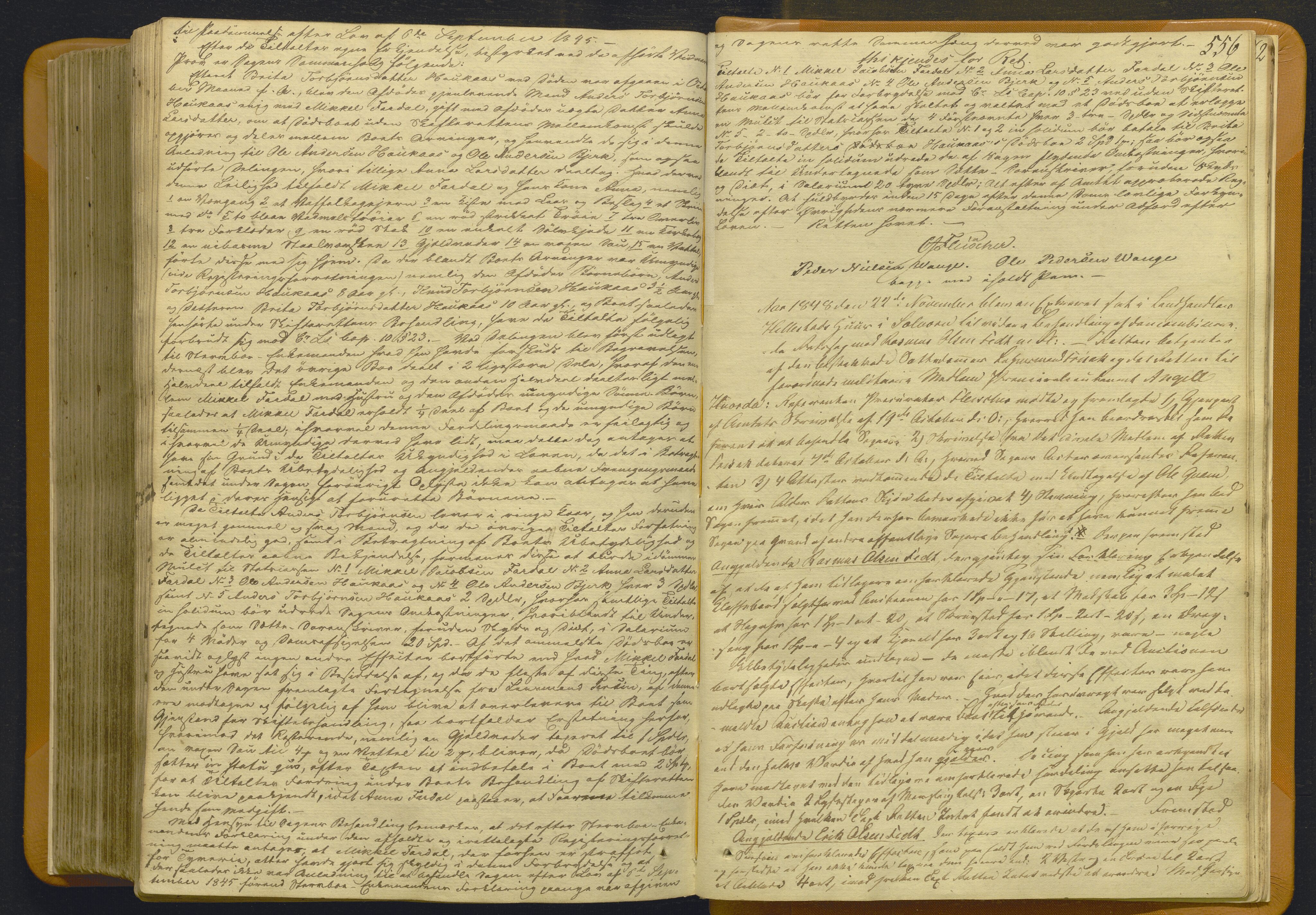 Indre Sogn tingrett, AV/SAB-A-3301/1/F/Fb/Fbc/L0007: Offentlege saker, Ba 7, 1843-1849, s. 555b-556a