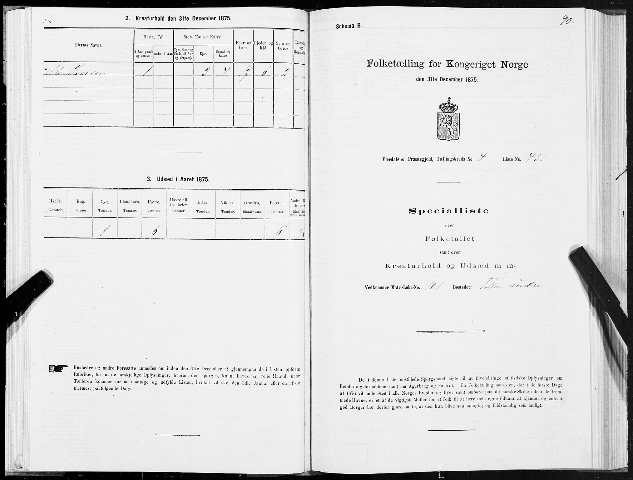 SAT, Folketelling 1875 for 1721P Verdal prestegjeld, 1875, s. 3090