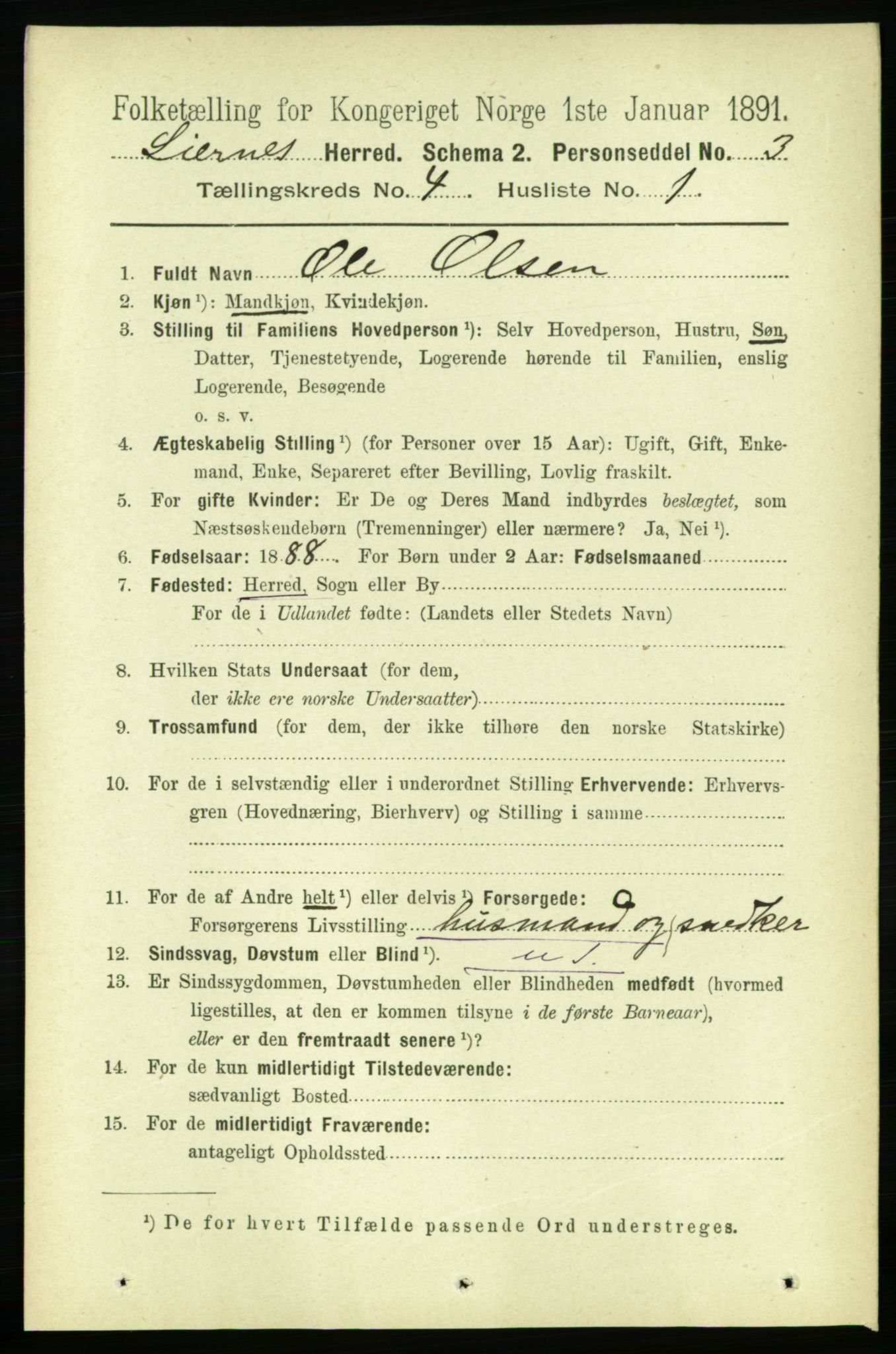 RA, Folketelling 1891 for 1737 Lierne herred, 1891, s. 1030