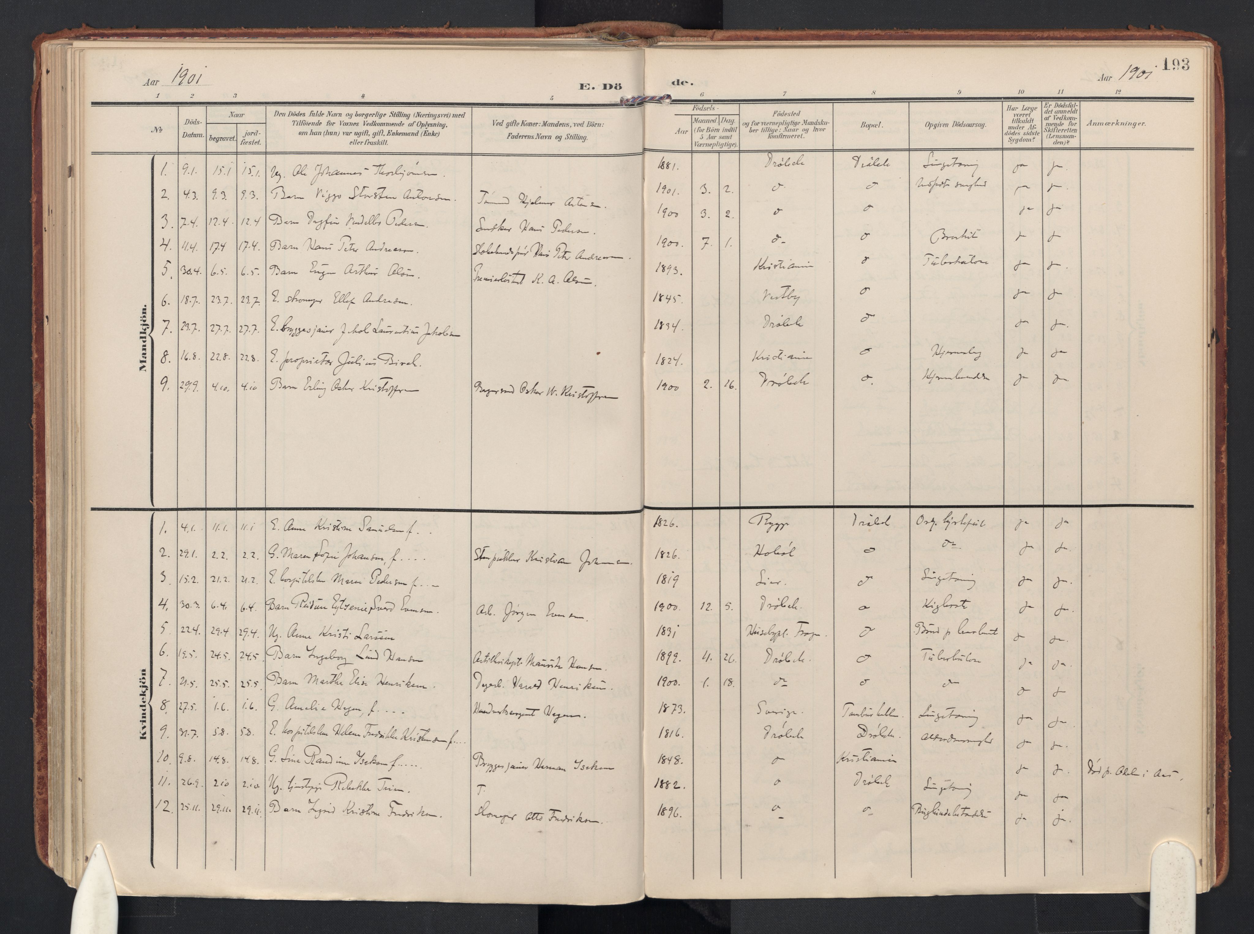 Drøbak prestekontor Kirkebøker, AV/SAO-A-10142a/F/Fb/L0003: Ministerialbok nr. II 3, 1897-1918, s. 193