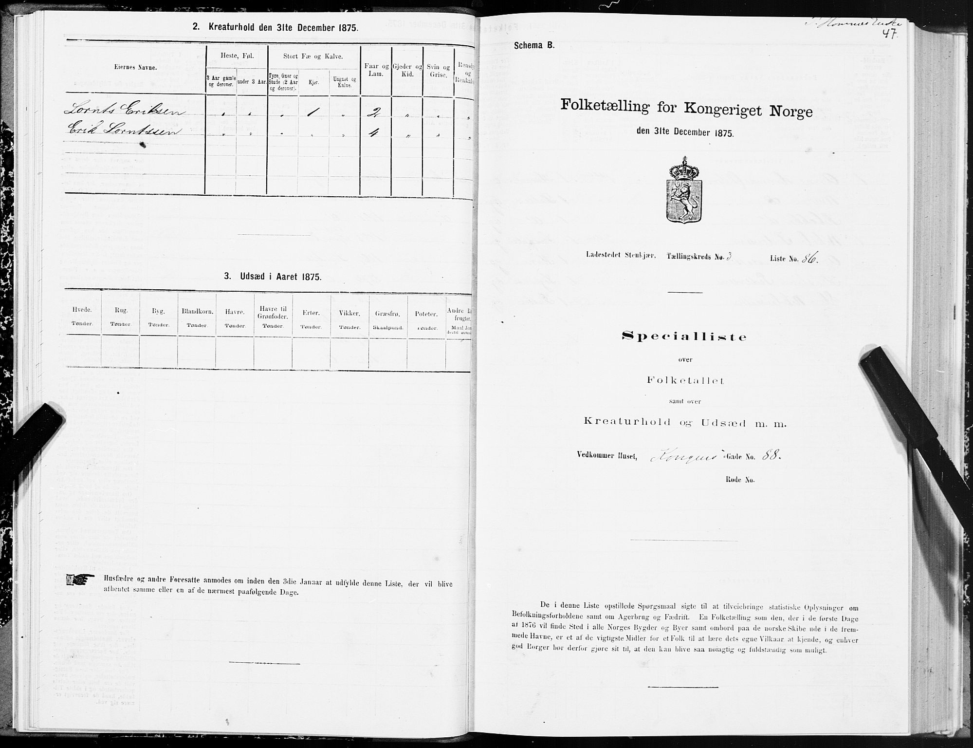 SAT, Folketelling 1875 for 1702B Steinkjer prestegjeld, Steinkjer ladested, 1875, s. 47