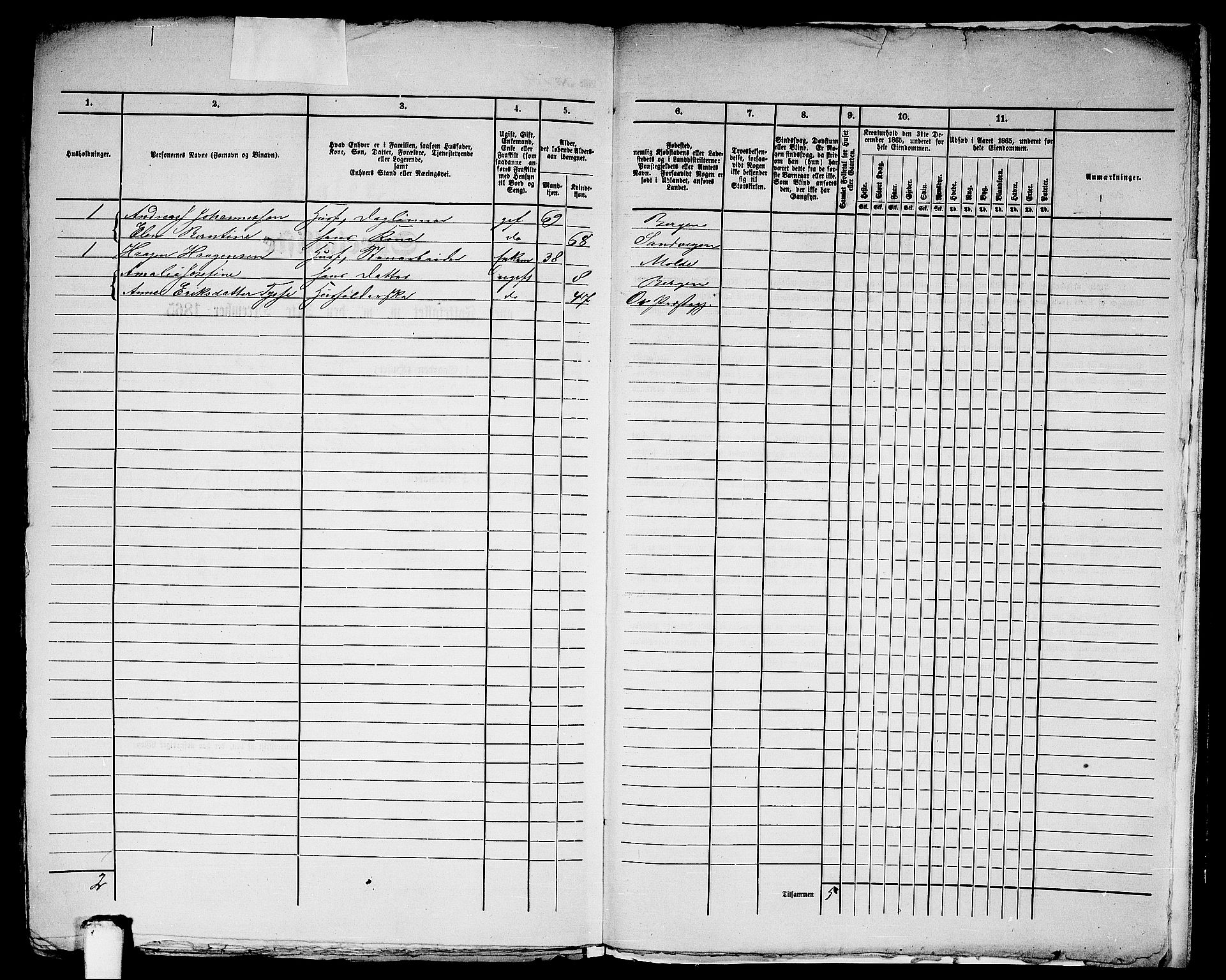 RA, Folketelling 1865 for 1281L Bergen Landdistrikt, Domkirkens landsokn og Korskirkens landsokn, 1865, s. 314