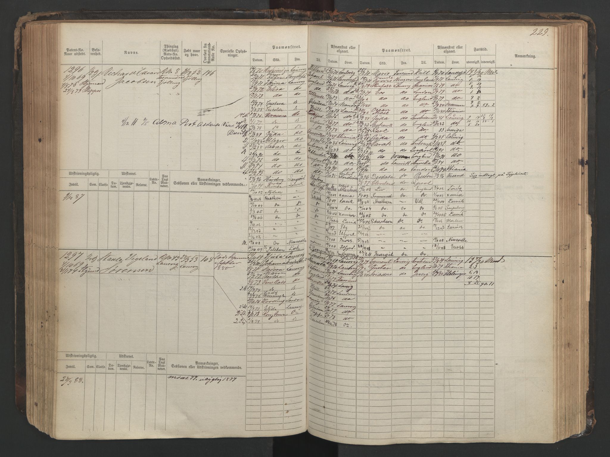 Larvik innrulleringskontor, SAKO/A-787/F/Fc/L0003: Hovedrulle, 1868, s. 229