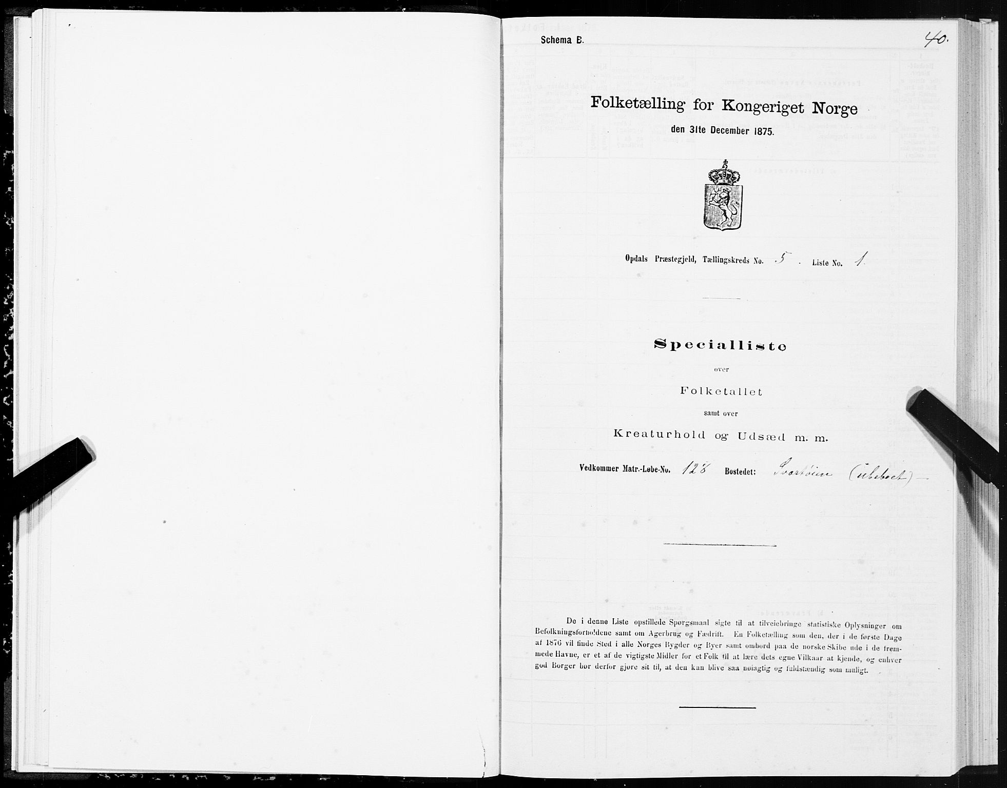 SAT, Folketelling 1875 for 1634P Oppdal prestegjeld, 1875, s. 3040