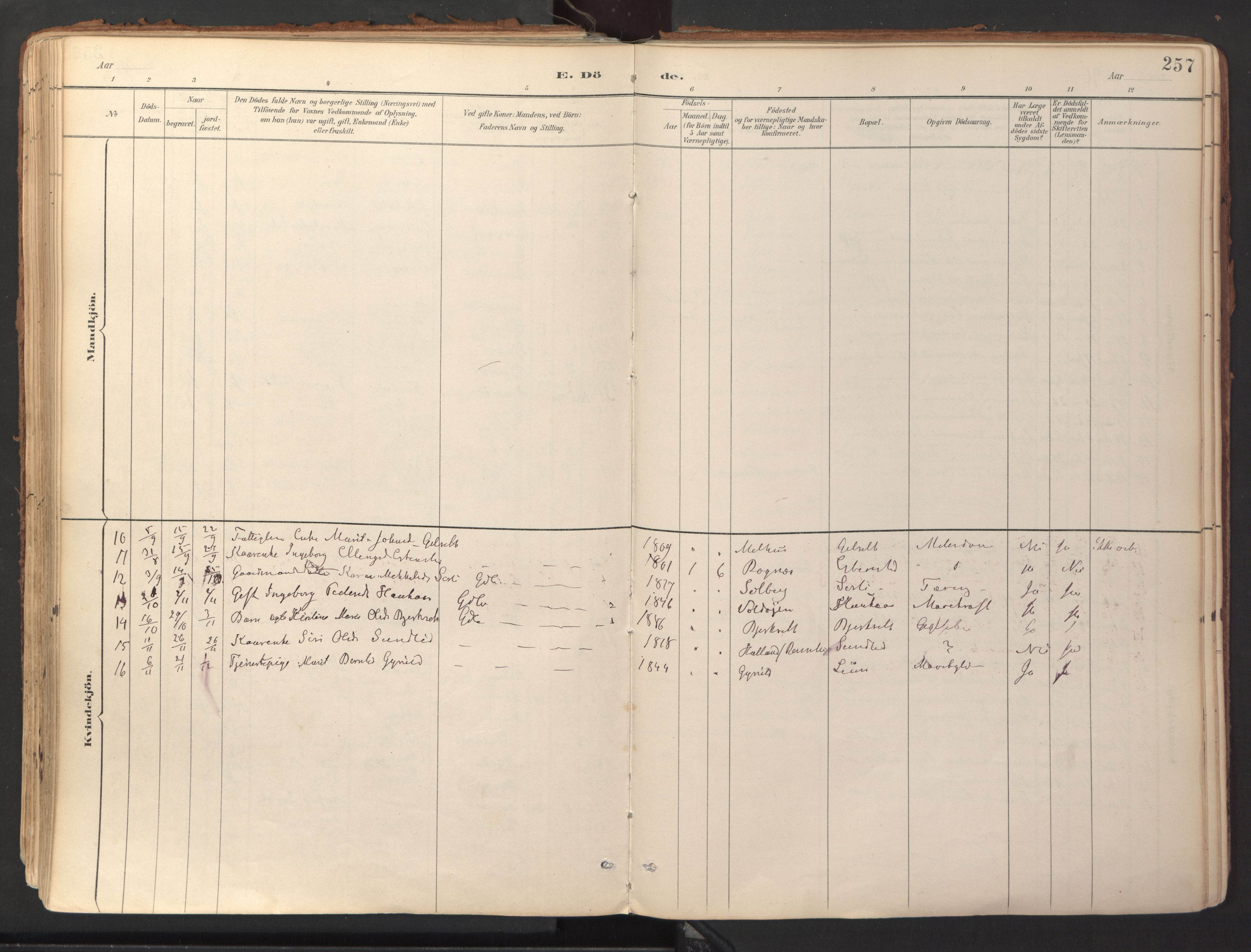 Ministerialprotokoller, klokkerbøker og fødselsregistre - Sør-Trøndelag, SAT/A-1456/689/L1041: Ministerialbok nr. 689A06, 1891-1923, s. 257