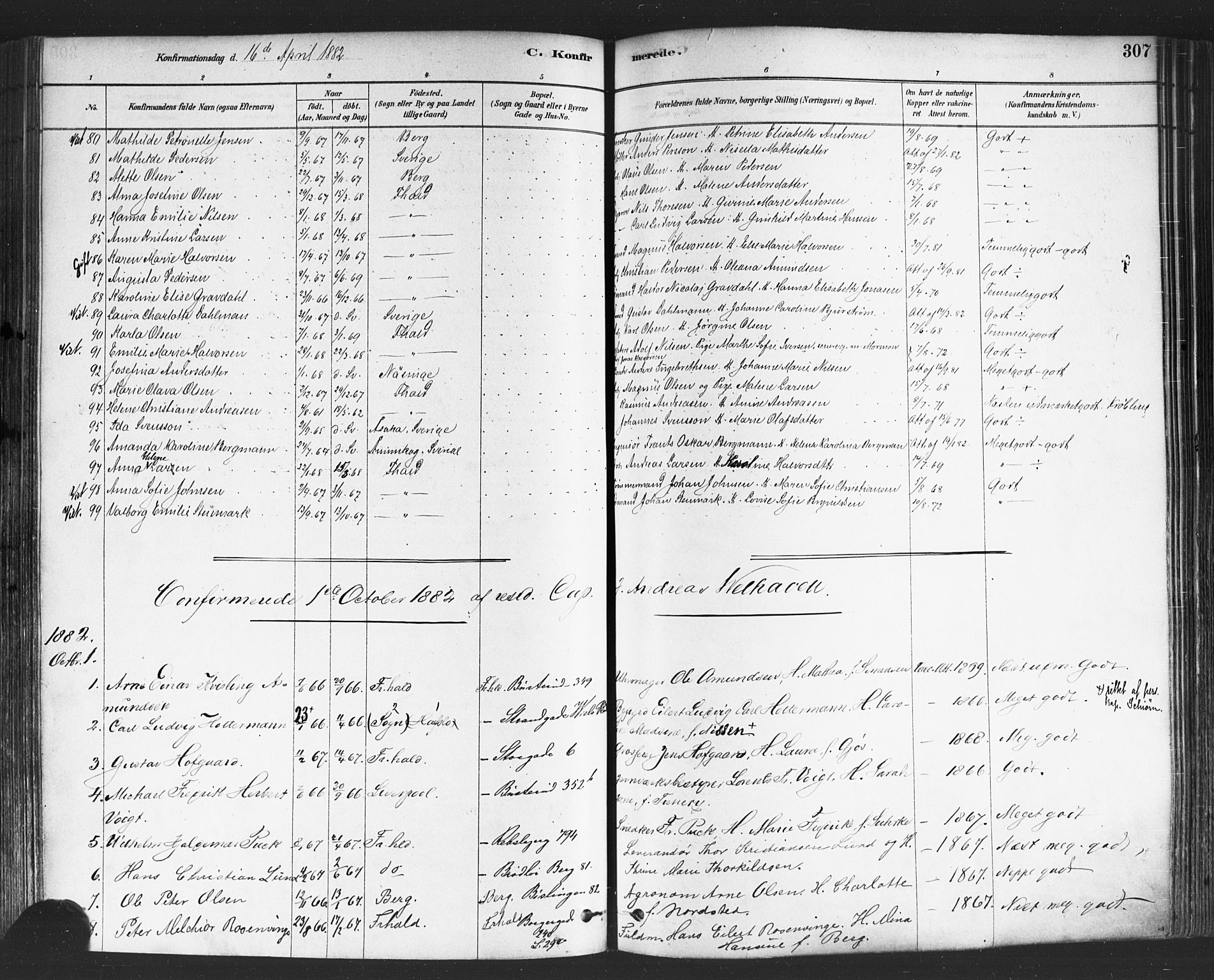 Halden prestekontor Kirkebøker, AV/SAO-A-10909/F/Fa/L0011: Ministerialbok nr. I 11, 1878-1889, s. 307
