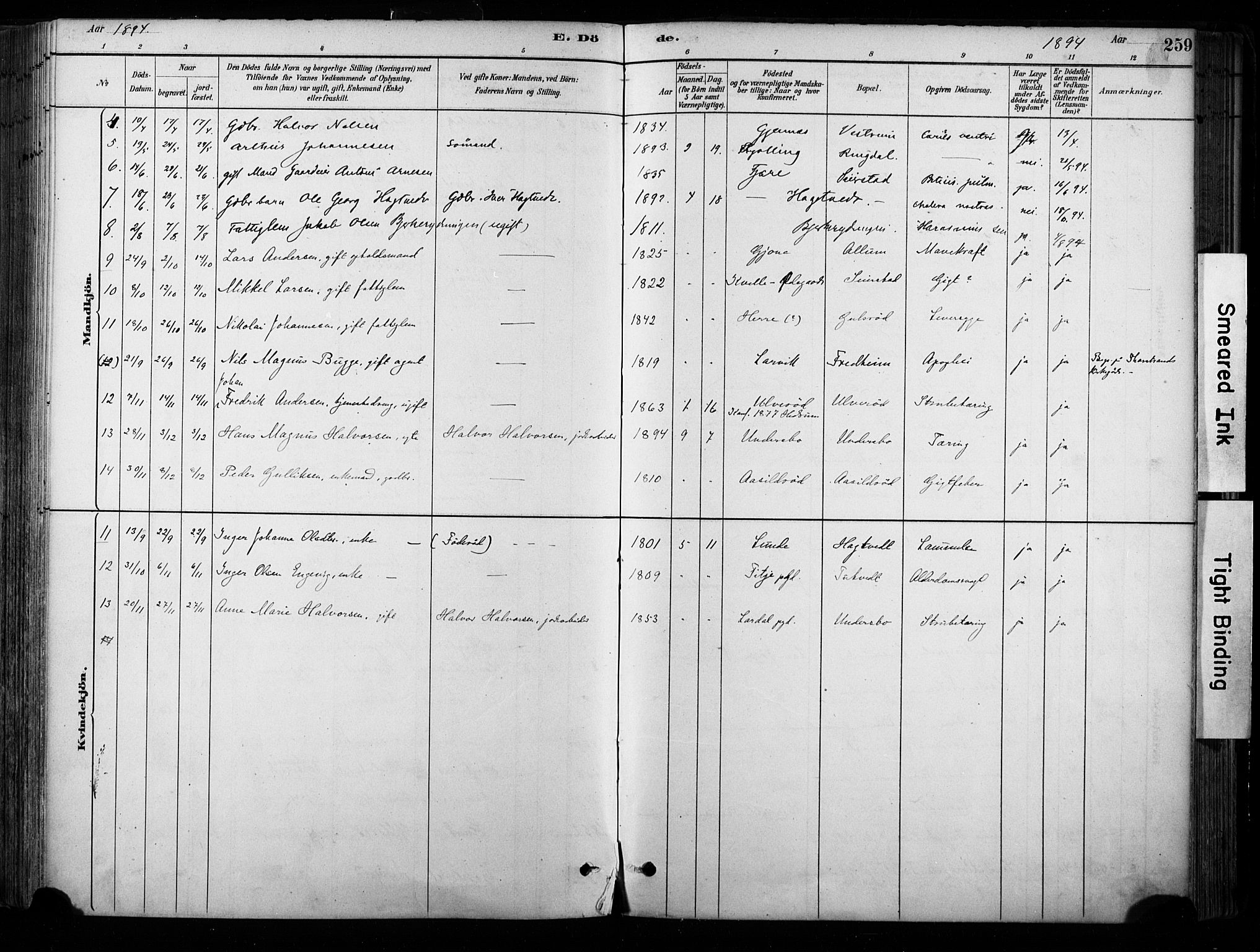 Hedrum kirkebøker, AV/SAKO-A-344/F/Fa/L0009: Ministerialbok nr. I 9, 1881-1903, s. 259