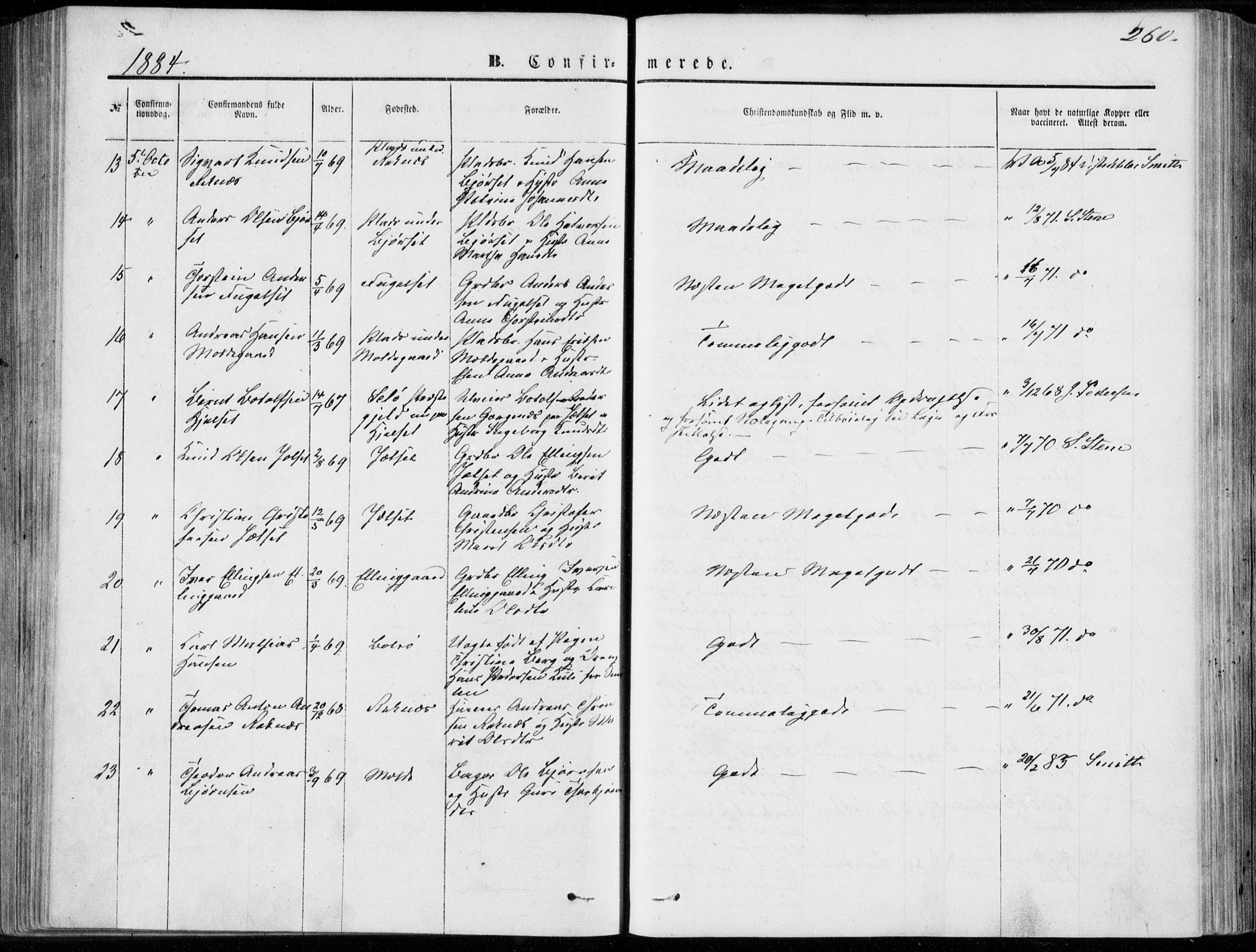 Ministerialprotokoller, klokkerbøker og fødselsregistre - Møre og Romsdal, SAT/A-1454/555/L0655: Ministerialbok nr. 555A05, 1869-1886, s. 260