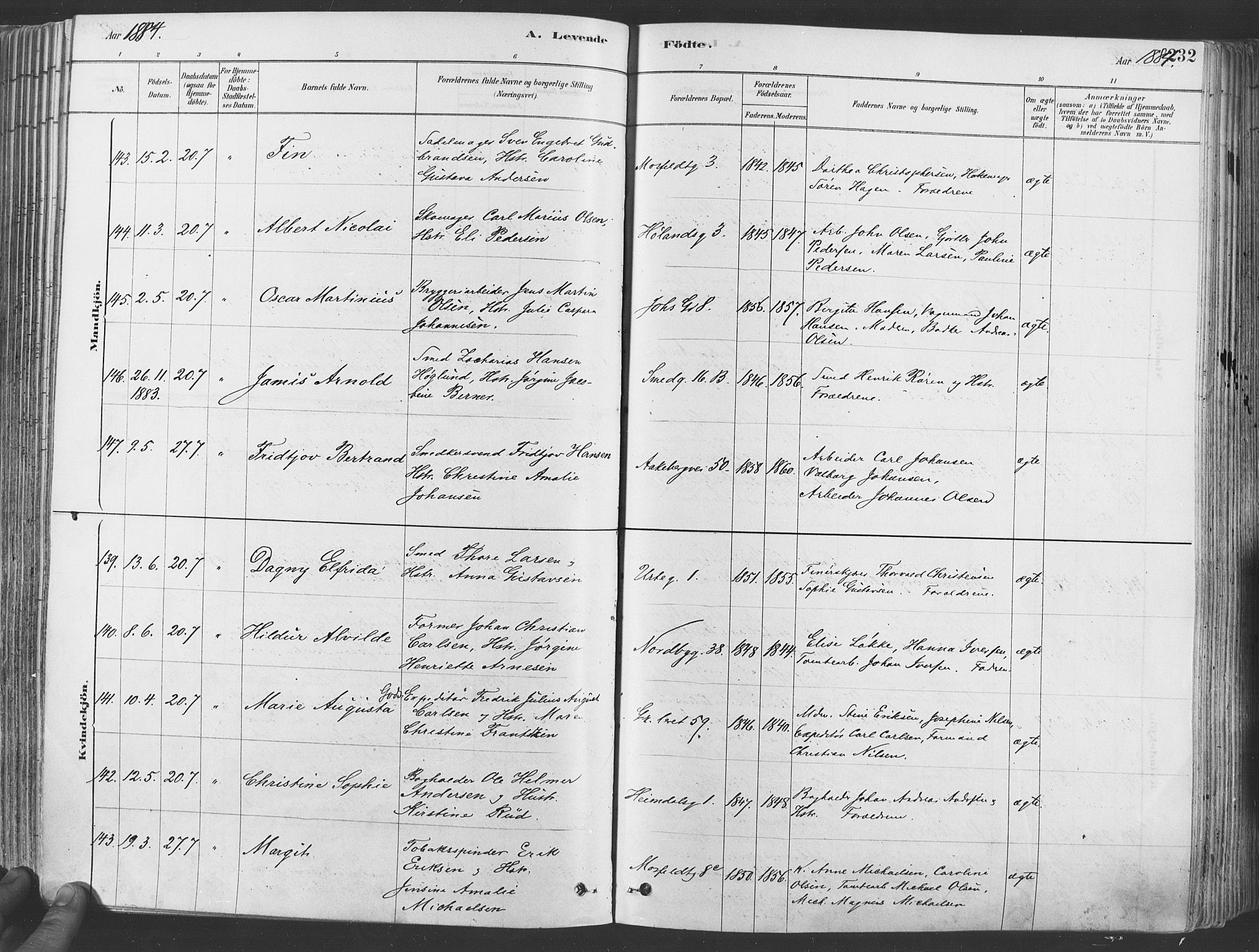 Grønland prestekontor Kirkebøker, SAO/A-10848/F/Fa/L0007: Ministerialbok nr. 7, 1878-1888, s. 232