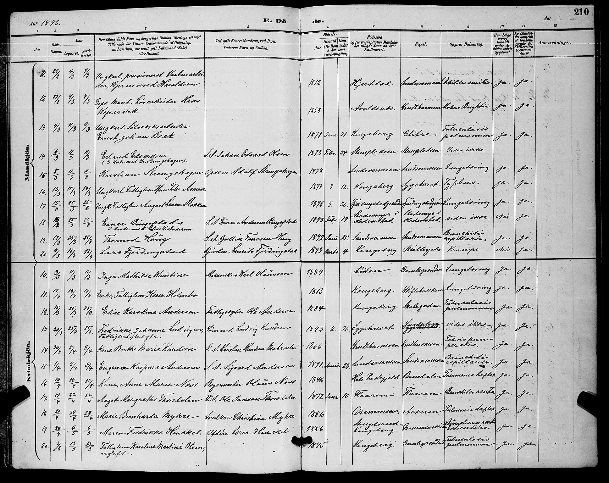 Kongsberg kirkebøker, AV/SAKO-A-22/G/Ga/L0006: Klokkerbok nr. 6, 1890-1901, s. 210