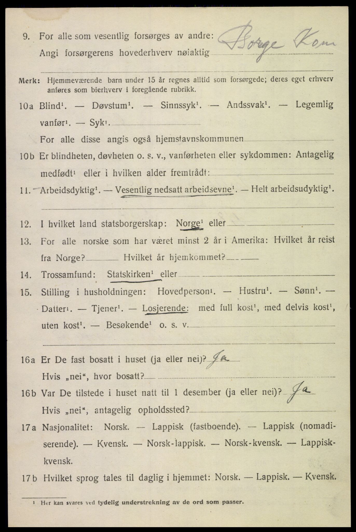 SAT, Folketelling 1920 for 1862 Borge herred, 1920, s. 10618