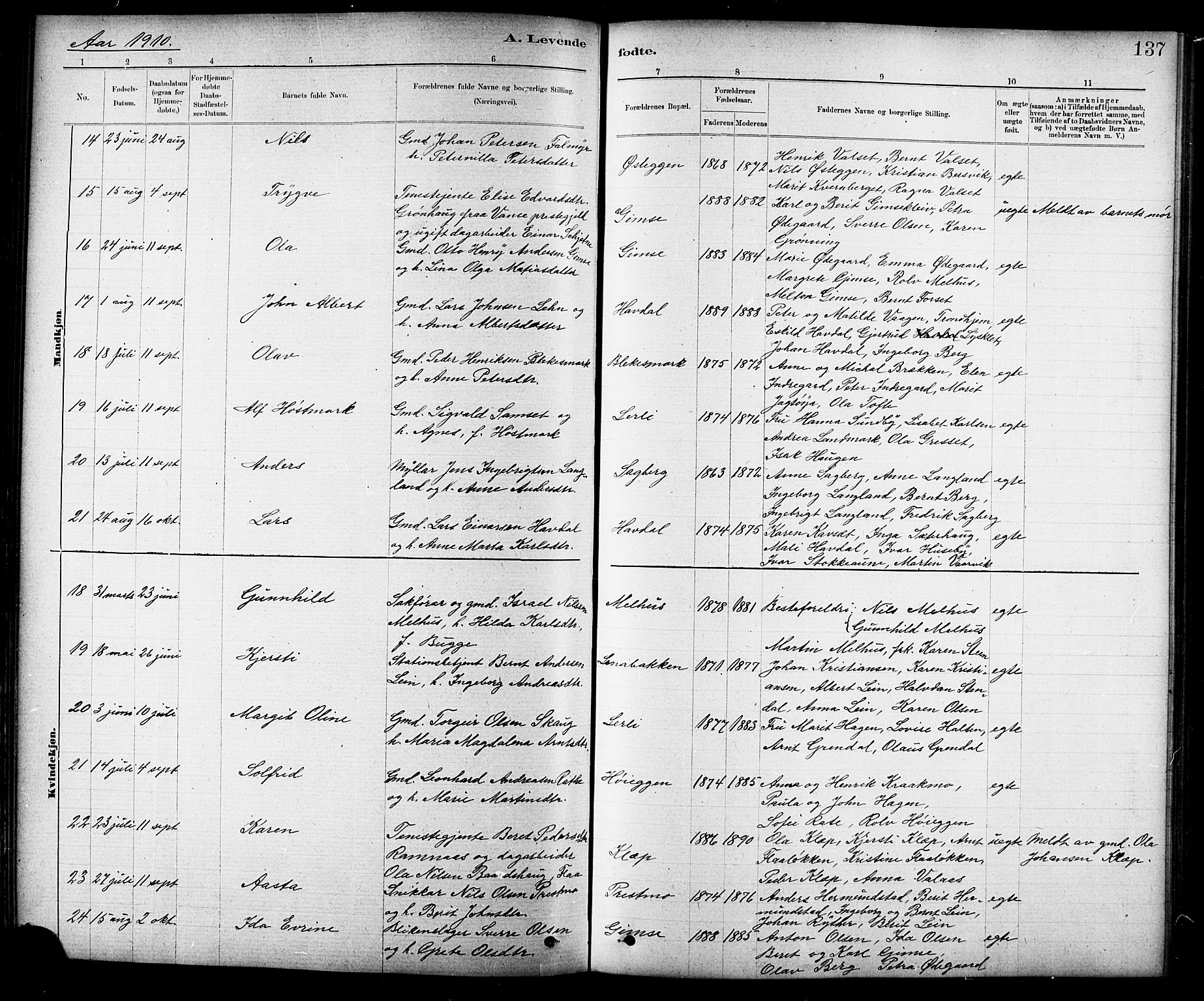 Ministerialprotokoller, klokkerbøker og fødselsregistre - Sør-Trøndelag, SAT/A-1456/691/L1094: Klokkerbok nr. 691C05, 1879-1911, s. 137