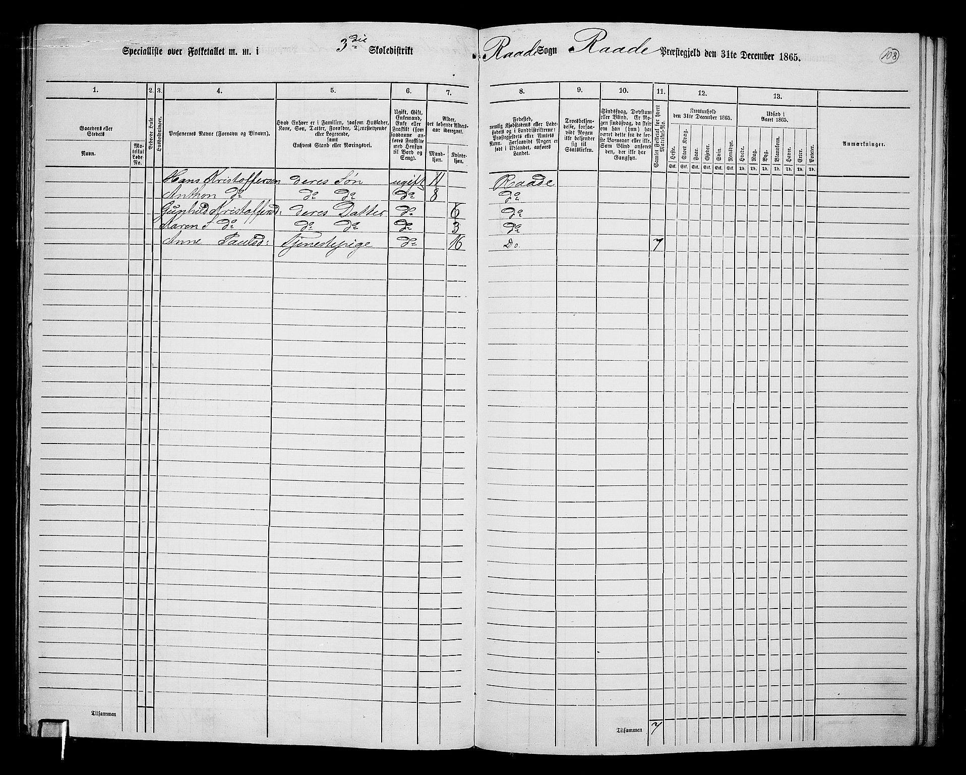 RA, Folketelling 1865 for 0135P Råde prestegjeld, 1865, s. 100