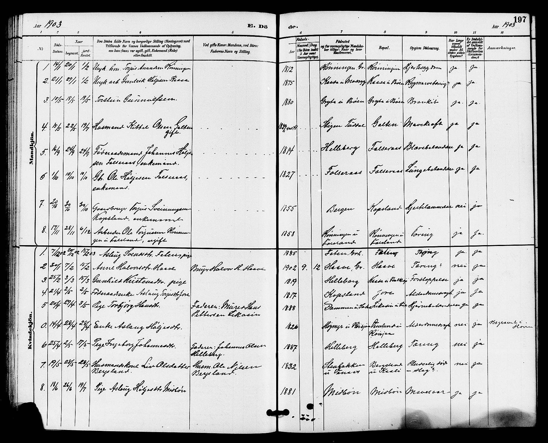 Gransherad kirkebøker, AV/SAKO-A-267/G/Ga/L0003: Klokkerbok nr. I 3, 1887-1915, s. 197