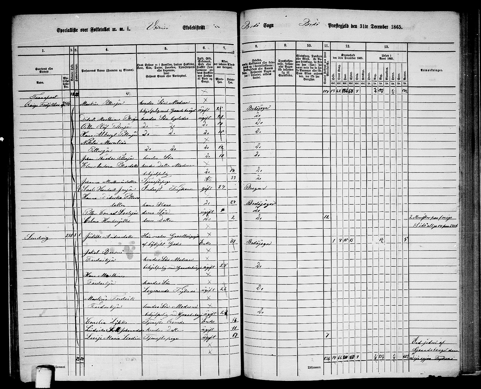 RA, Folketelling 1865 for 1843L Bodø prestegjeld, Bodø landsokn, 1865, s. 142