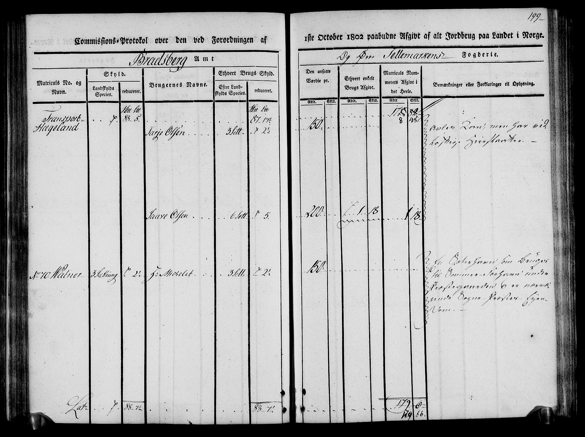 Rentekammeret inntil 1814, Realistisk ordnet avdeling, RA/EA-4070/N/Ne/Nea/L0075: Øvre Telemarken fogderi. Kommisjonsprotokoll for fogderiets vestre del - Kviteseid, Vinje, Moland [):Fyresdal] og Lårdal prestegjeld., 1803, s. 201