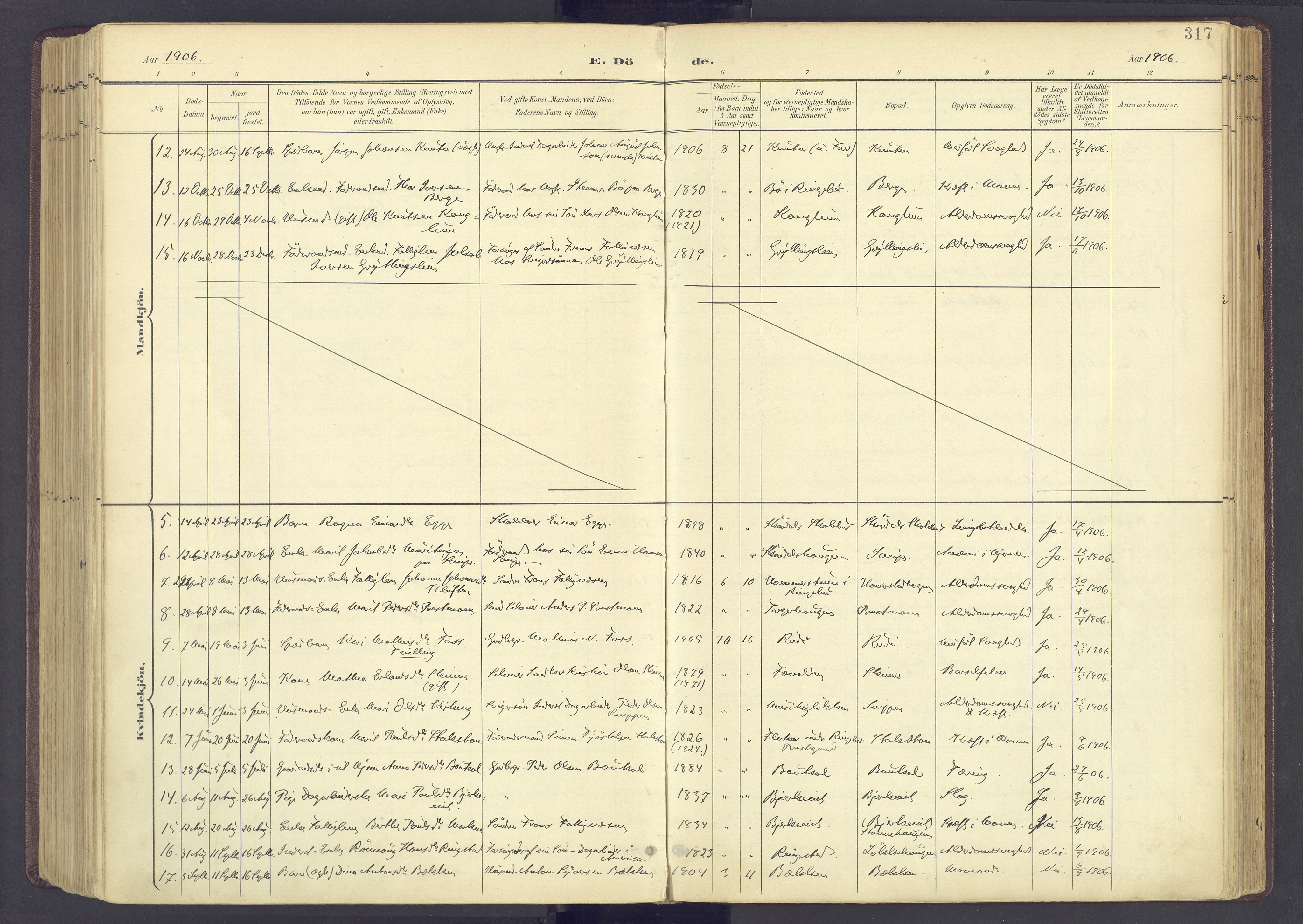 Sør-Fron prestekontor, SAH/PREST-010/H/Ha/Haa/L0004: Ministerialbok nr. 4, 1898-1919, s. 317