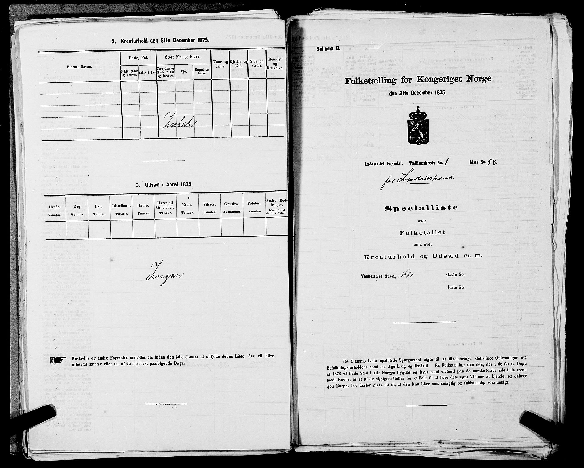 SAST, Folketelling 1875 for 1107B Sokndal prestegjeld, Sokndal ladested, 1875, s. 119