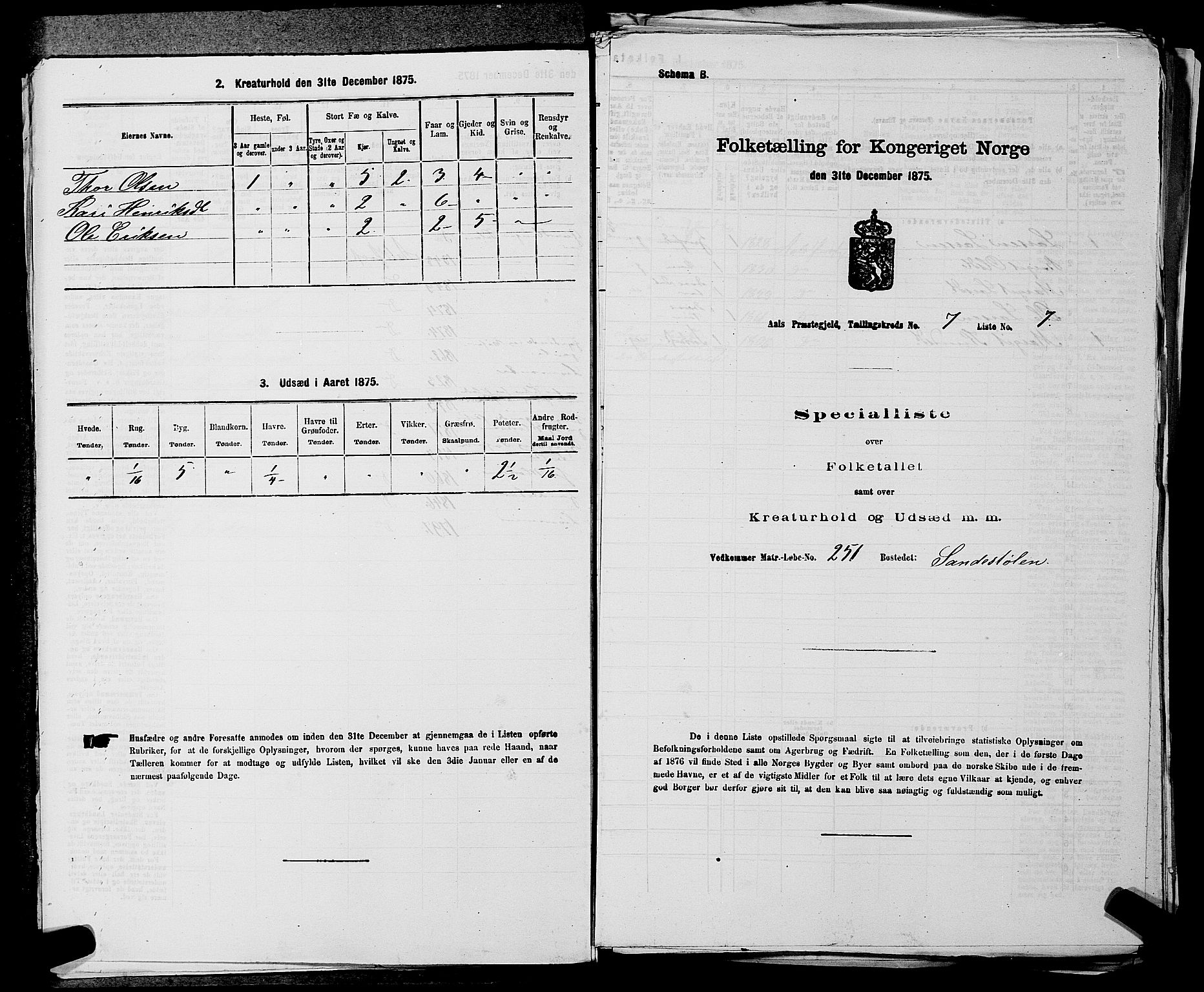 SAKO, Folketelling 1875 for 0619P Ål prestegjeld, 1875, s. 848