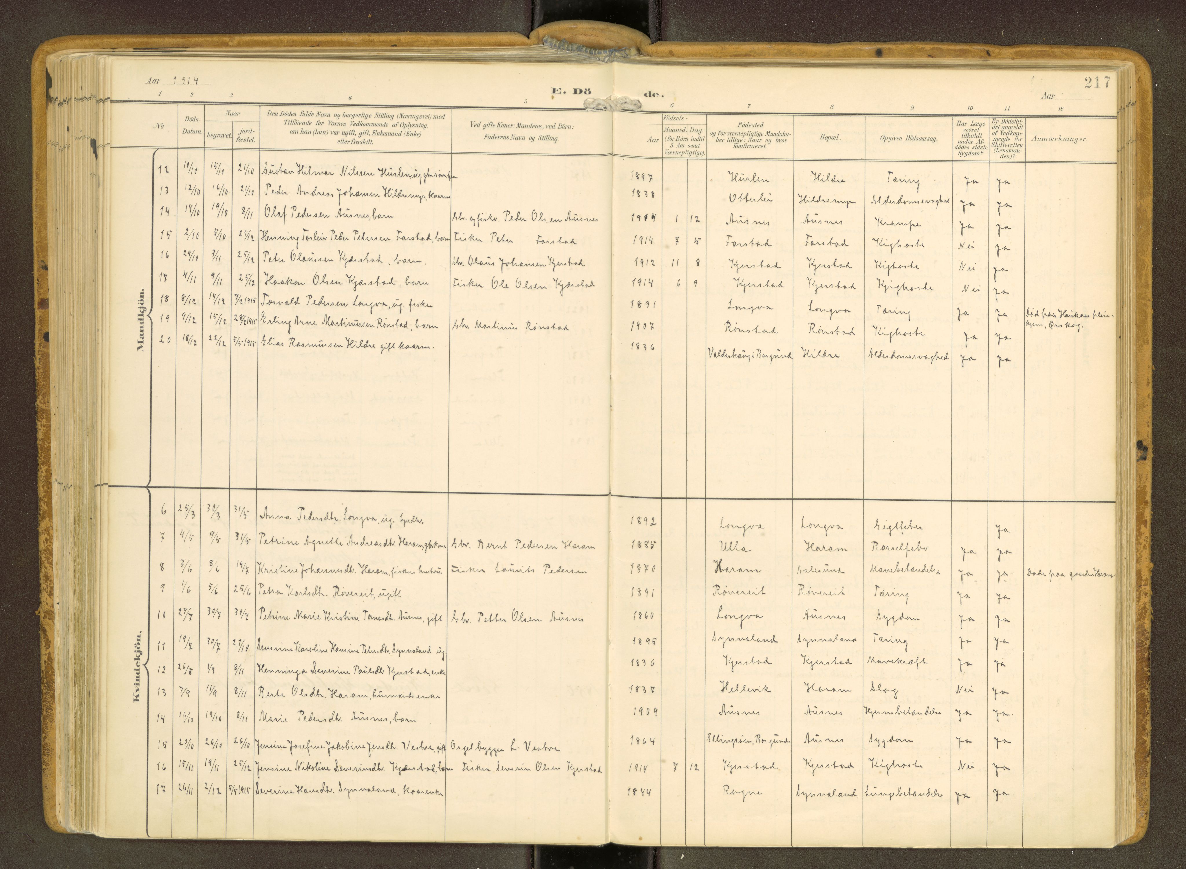 Ministerialprotokoller, klokkerbøker og fødselsregistre - Møre og Romsdal, AV/SAT-A-1454/536/L0517: Ministerialbok nr. 536A--, 1897-1917, s. 217