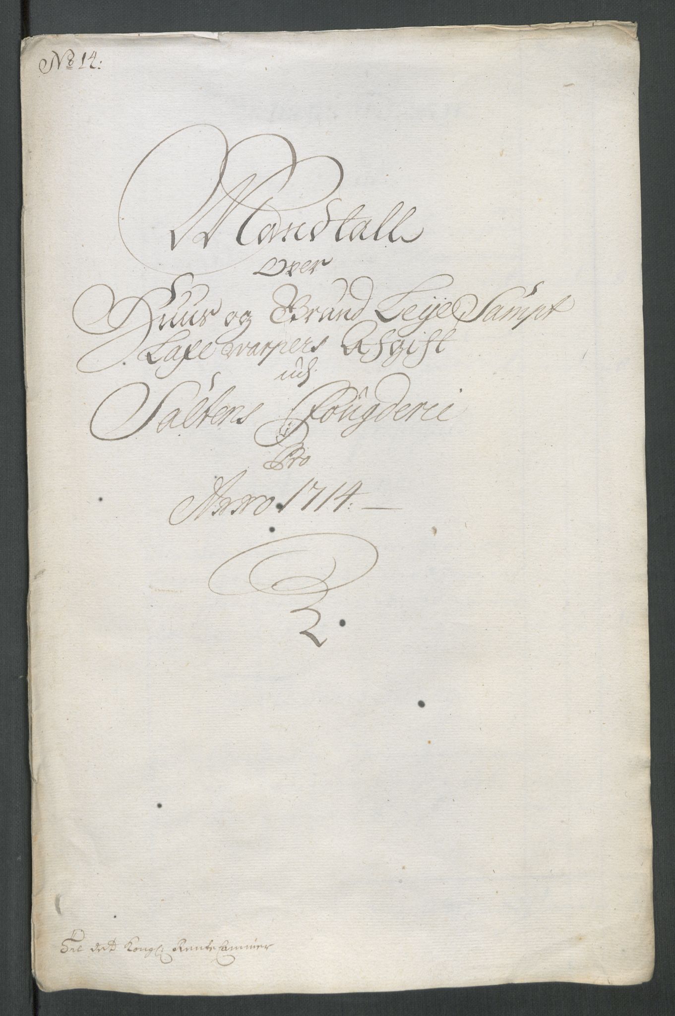 Rentekammeret inntil 1814, Reviderte regnskaper, Fogderegnskap, RA/EA-4092/R66/L4584: Fogderegnskap Salten, 1714, s. 235
