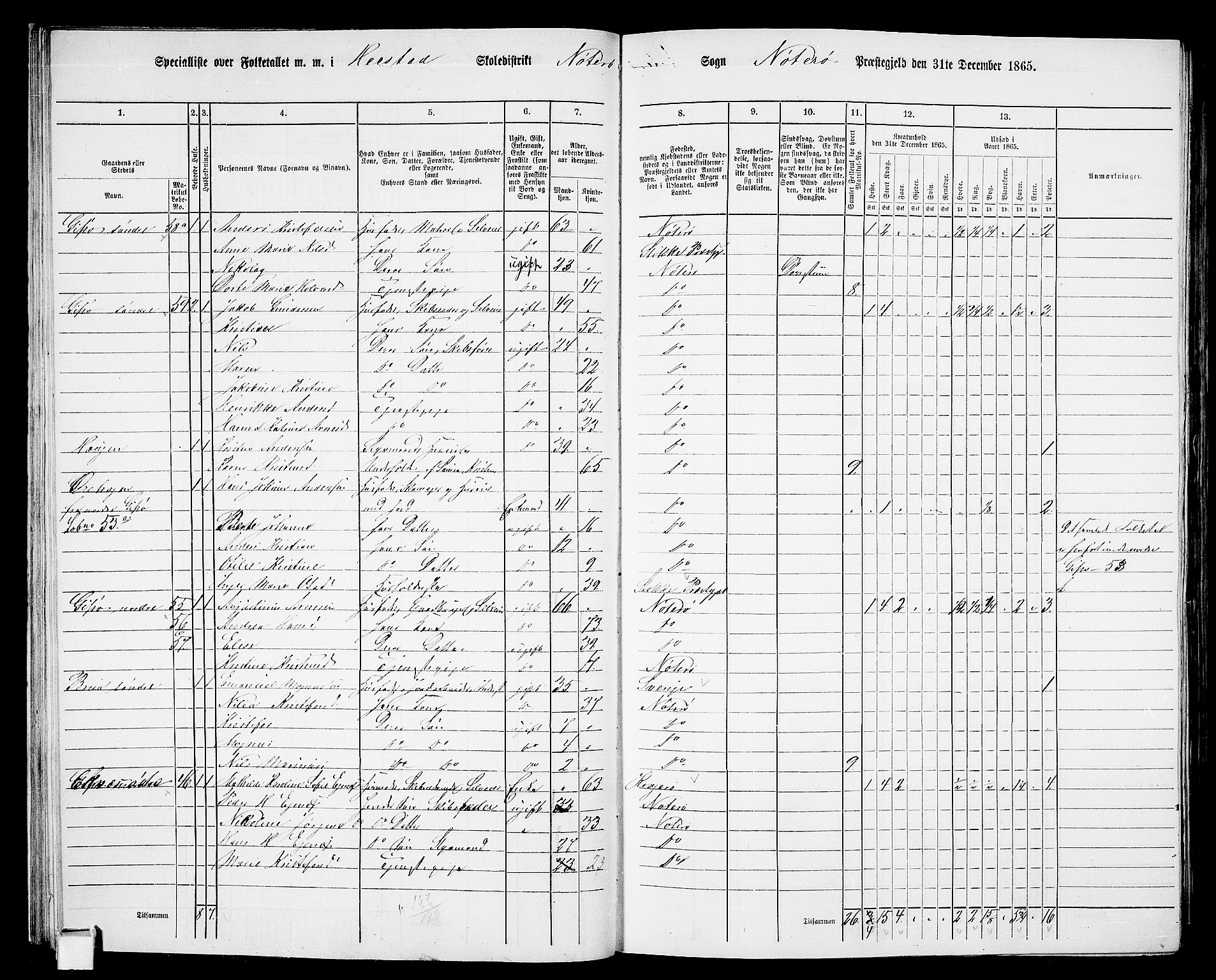 RA, Folketelling 1865 for 0722P Nøtterøy prestegjeld, 1865, s. 33