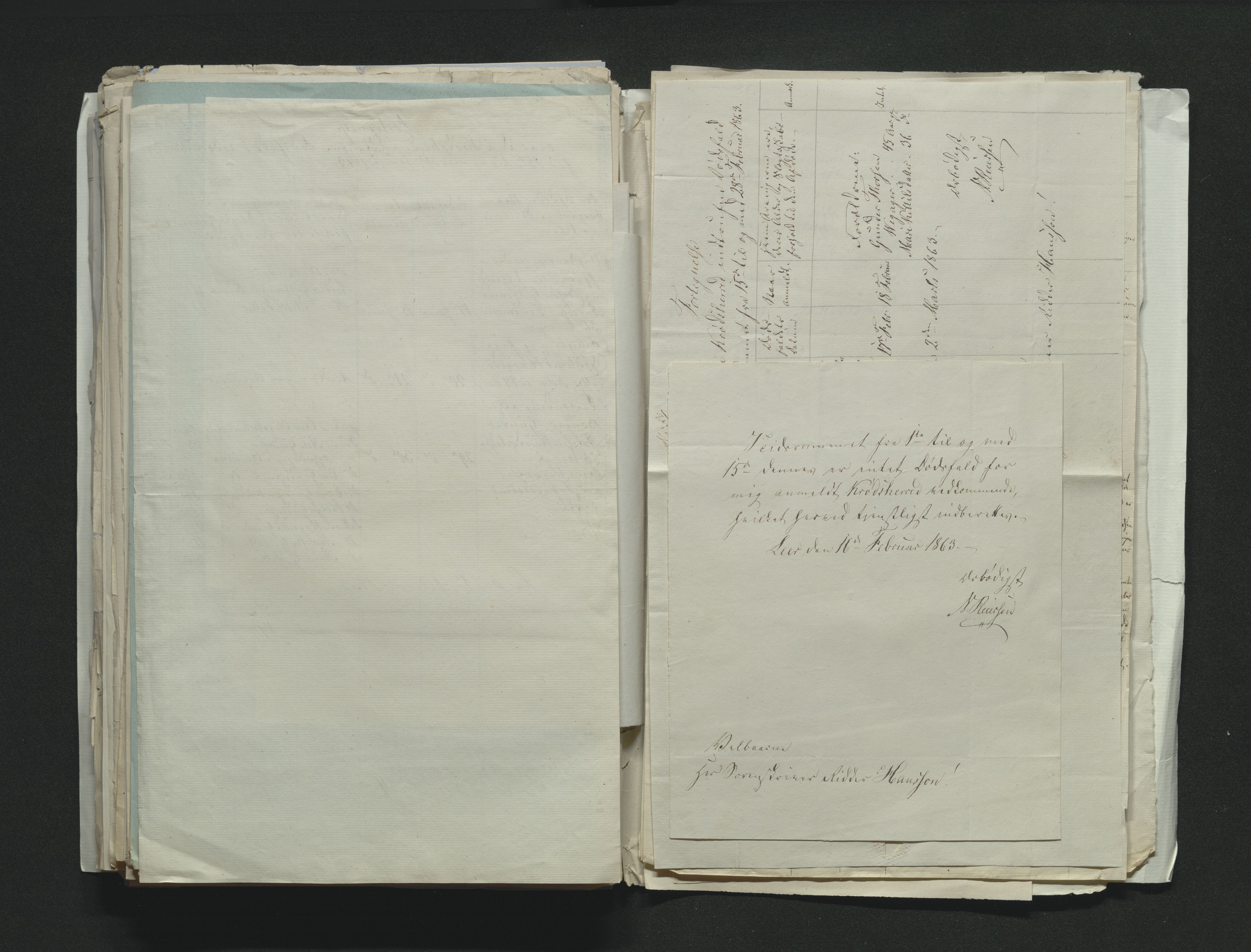 Eiker, Modum og Sigdal sorenskriveri, AV/SAKO-A-123/H/Ha/Hab/L0011: Dødsfallsmeldinger, 1862-1865, s. 318