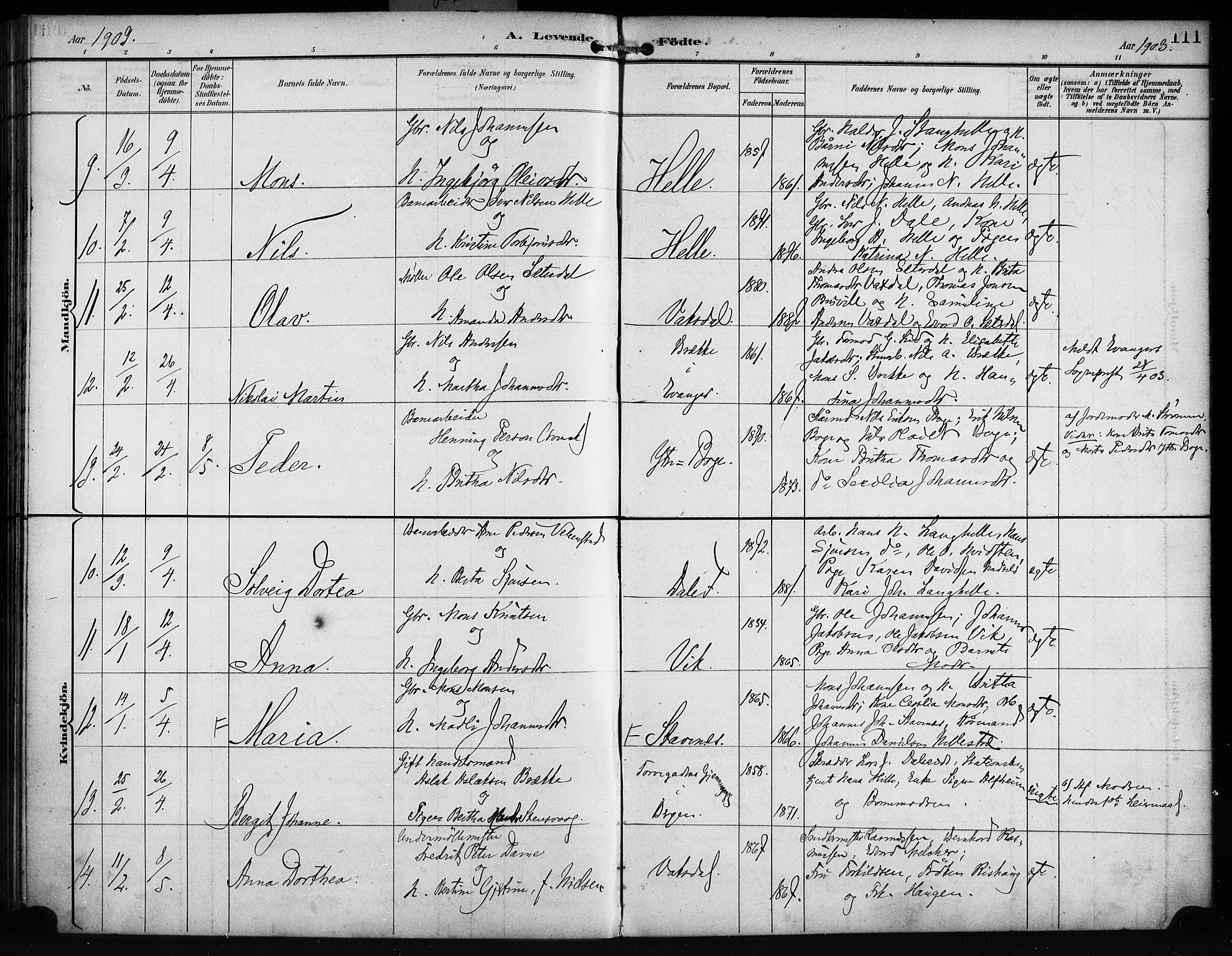 Bruvik Sokneprestembete, AV/SAB-A-74701/H/Haa: Ministerialbok nr. B 2, 1893-1903, s. 111