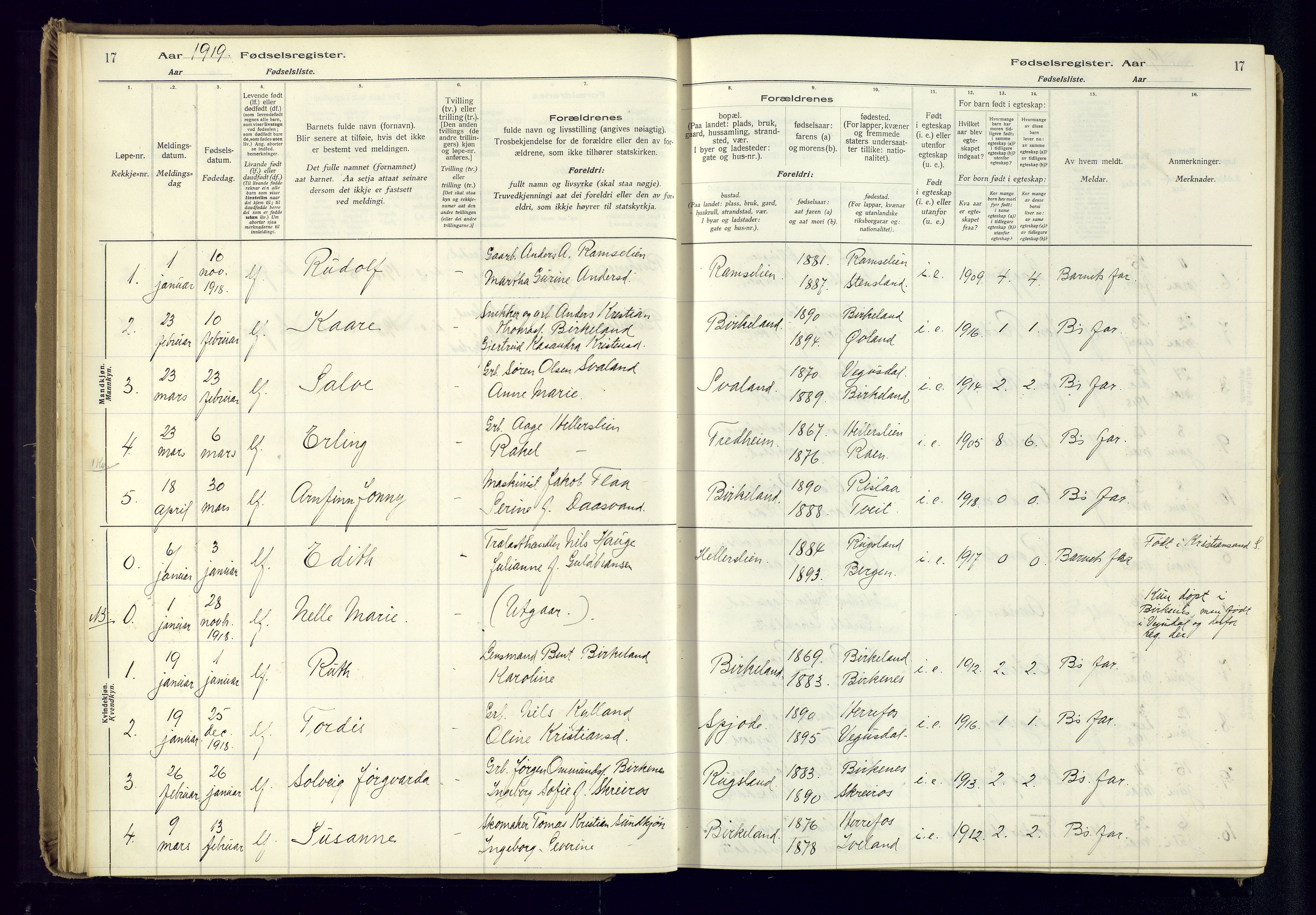 Birkenes sokneprestkontor, AV/SAK-1111-0004/J/Ja/L0001: Fødselsregister nr. II.6.4, 1916-1962, s. 17