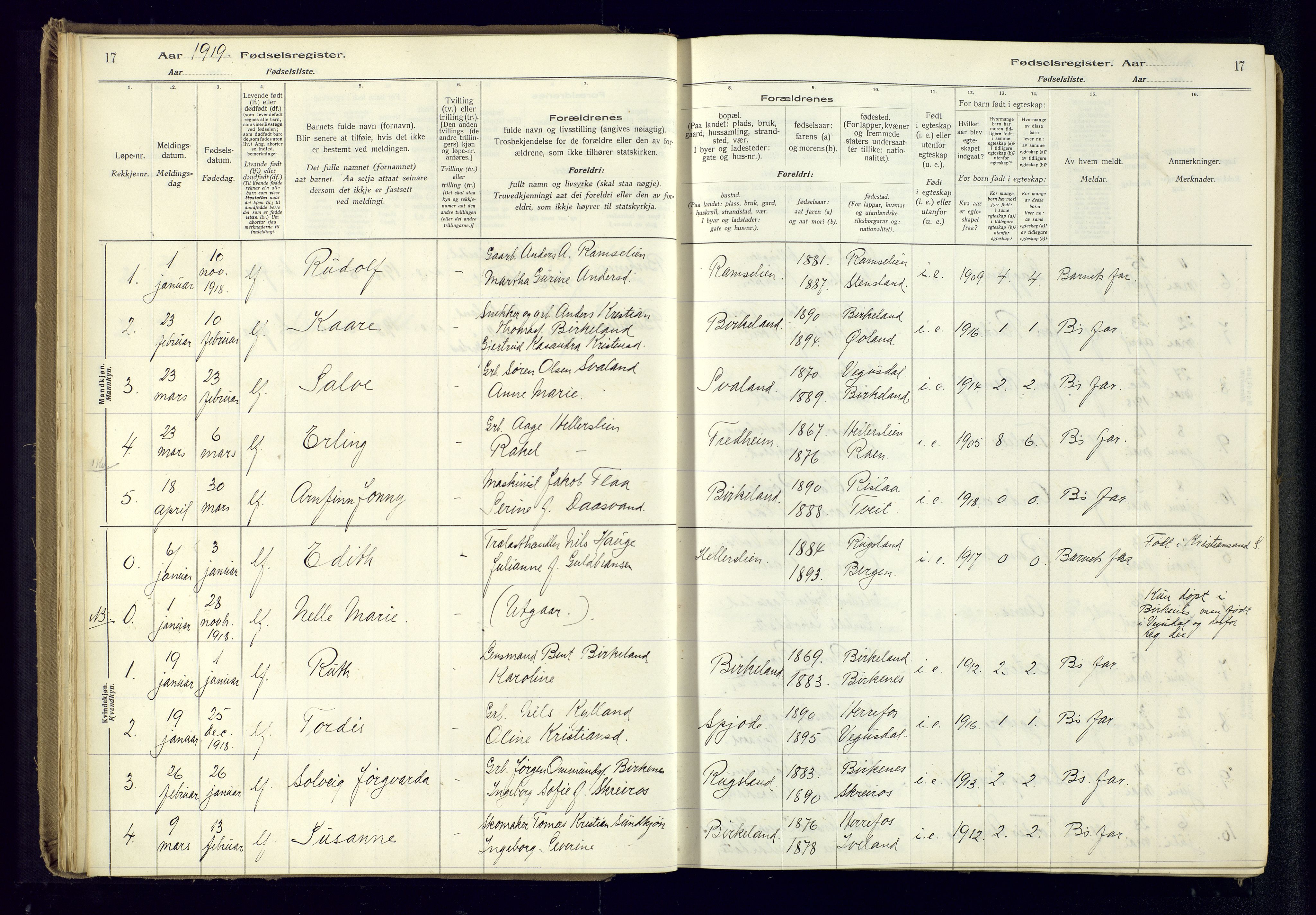 Birkenes sokneprestkontor, AV/SAK-1111-0004/J/Ja/L0001: Fødselsregister nr. II.6.4, 1916-1962, s. 17