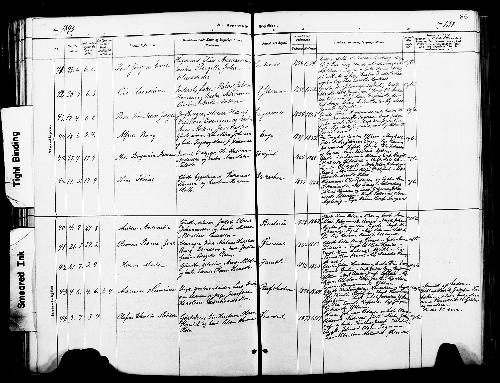 Ministerialprotokoller, klokkerbøker og fødselsregistre - Nordland, AV/SAT-A-1459/827/L0421: Klokkerbok nr. 827C10, 1887-1906, s. 86
