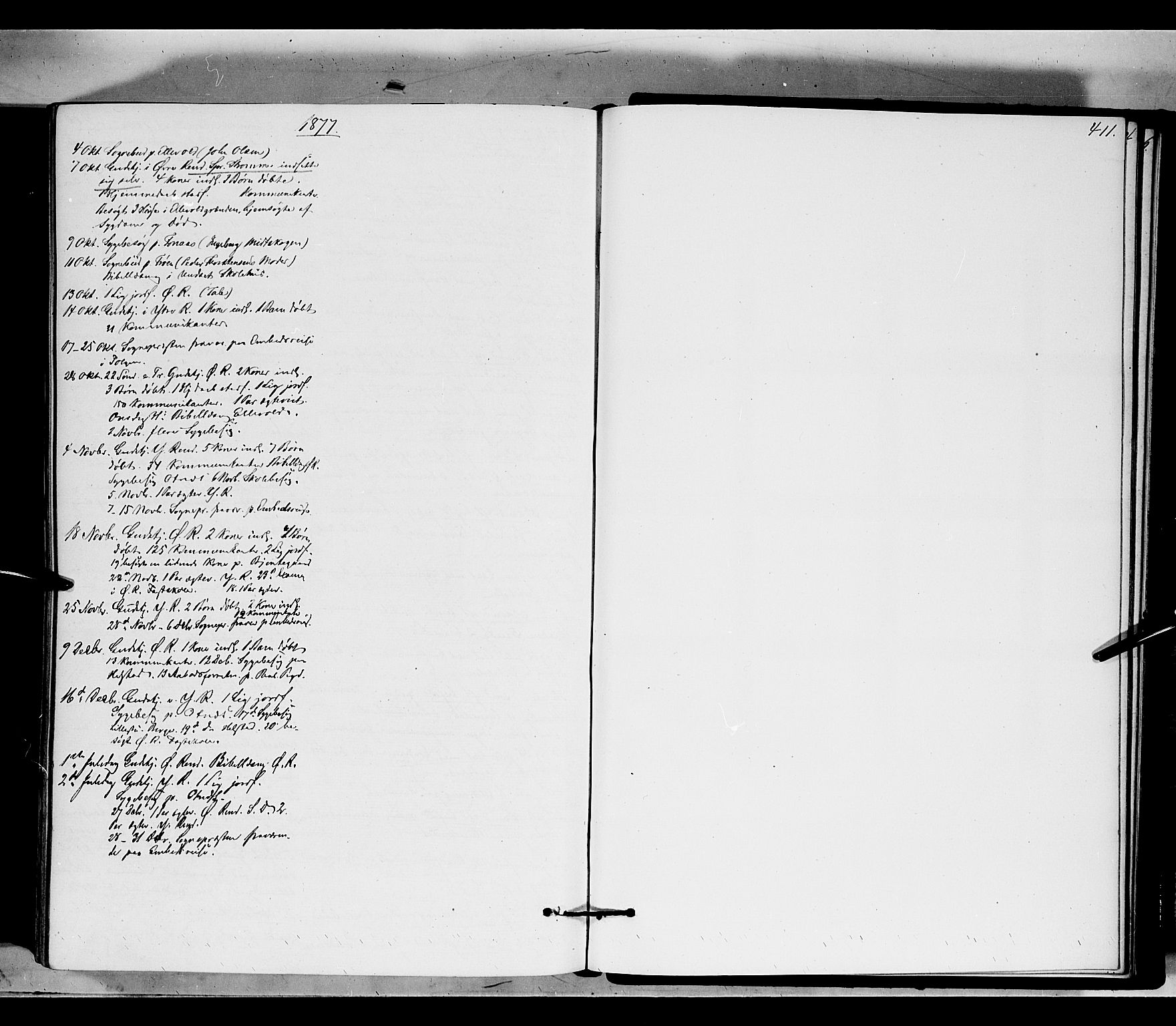 Rendalen prestekontor, AV/SAH-PREST-054/H/Ha/Haa/L0006: Ministerialbok nr. 6, 1867-1877, s. 411