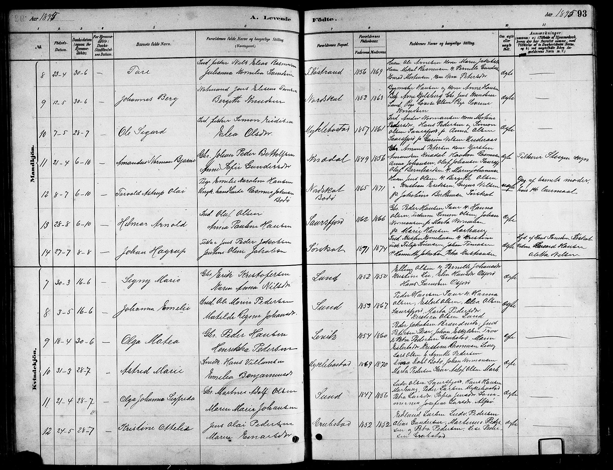 Ministerialprotokoller, klokkerbøker og fødselsregistre - Nordland, AV/SAT-A-1459/857/L0828: Klokkerbok nr. 857C03, 1879-1908, s. 93