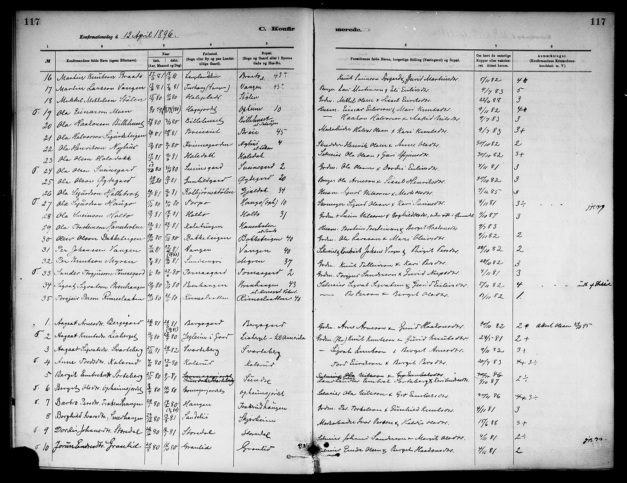 Ål kirkebøker, SAKO/A-249/F/Fa/L0008: Ministerialbok nr. I 8, 1882-1896, s. 117