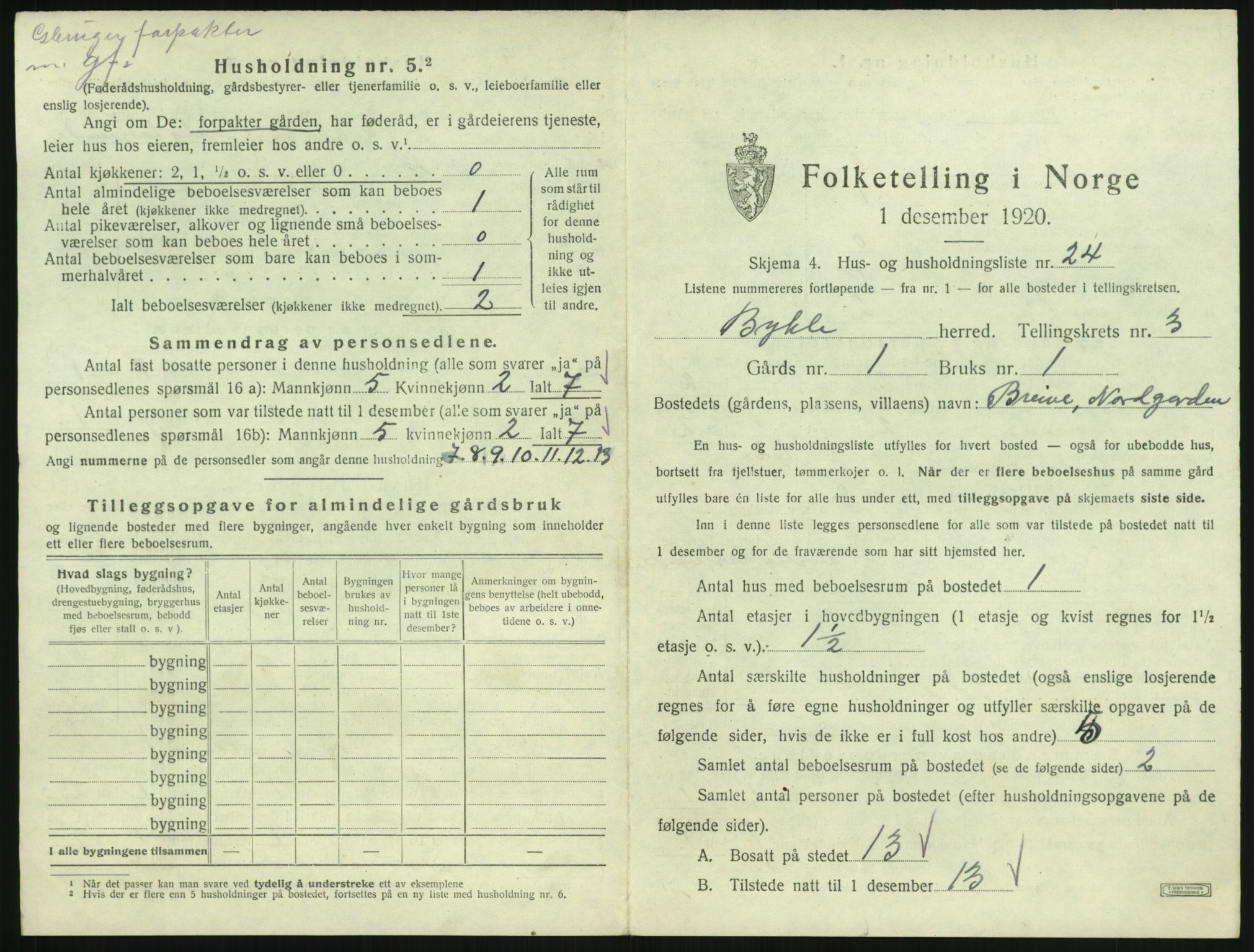 SAK, Folketelling 1920 for 0941 Bykle herred, 1920, s. 209