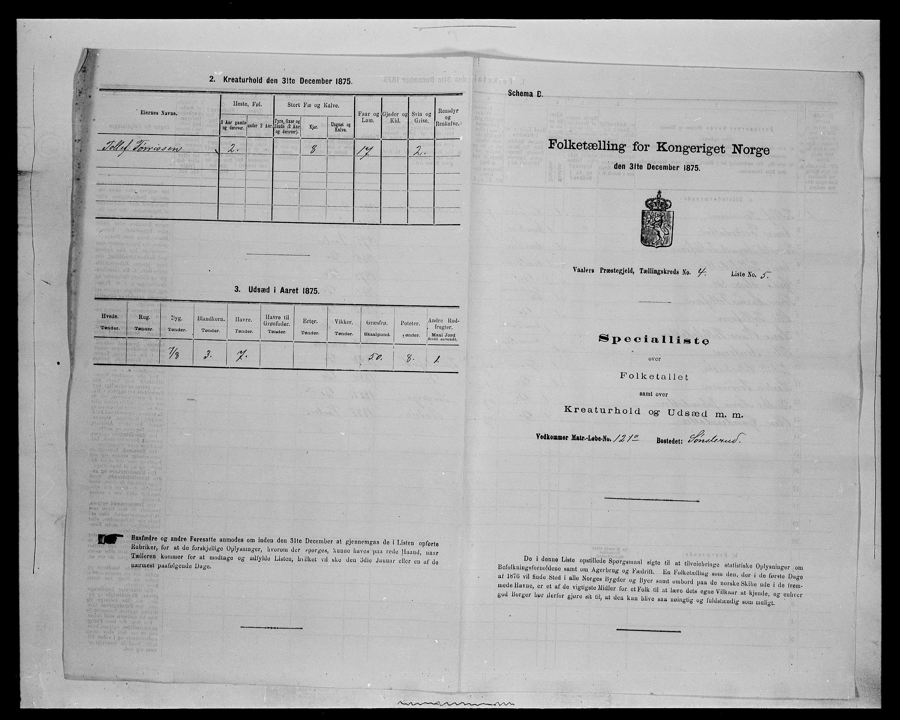 SAH, Folketelling 1875 for 0426P Våler prestegjeld (Hedmark), 1875, s. 502