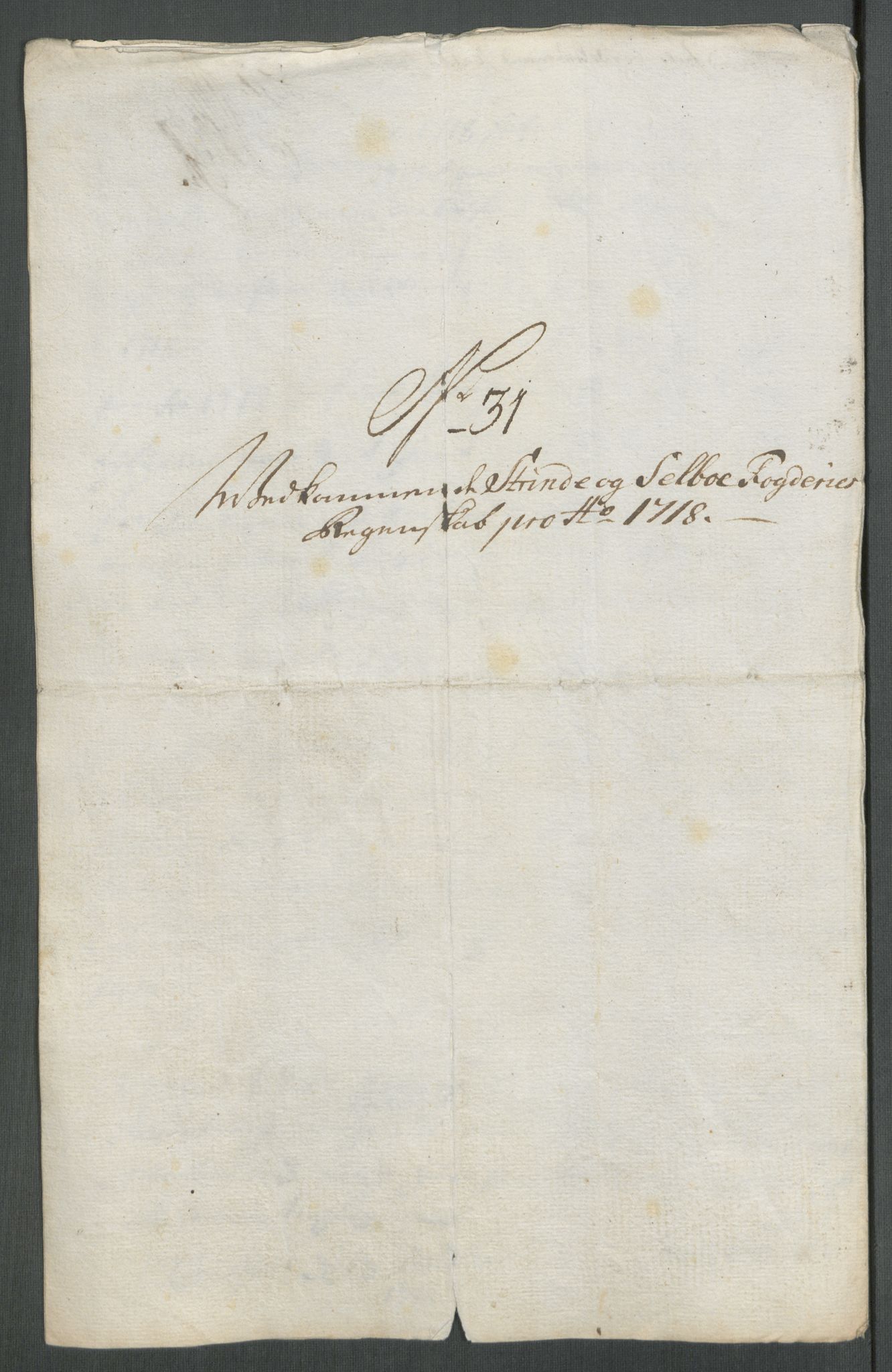 Rentekammeret inntil 1814, Reviderte regnskaper, Fogderegnskap, AV/RA-EA-4092/R61/L4116: Fogderegnskap Strinda og Selbu, 1717-1718, s. 495