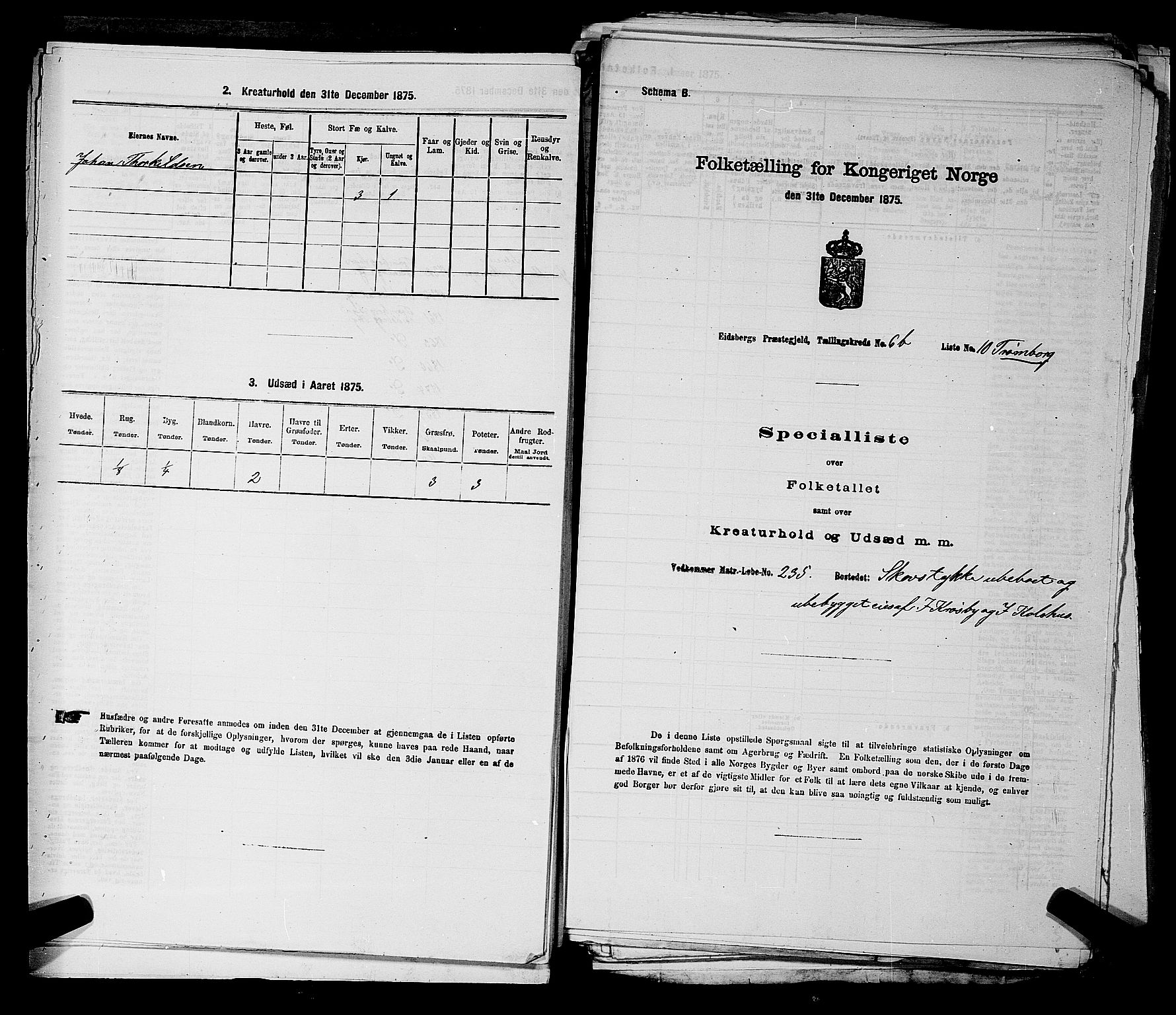RA, Folketelling 1875 for 0125P Eidsberg prestegjeld, 1875, s. 1211