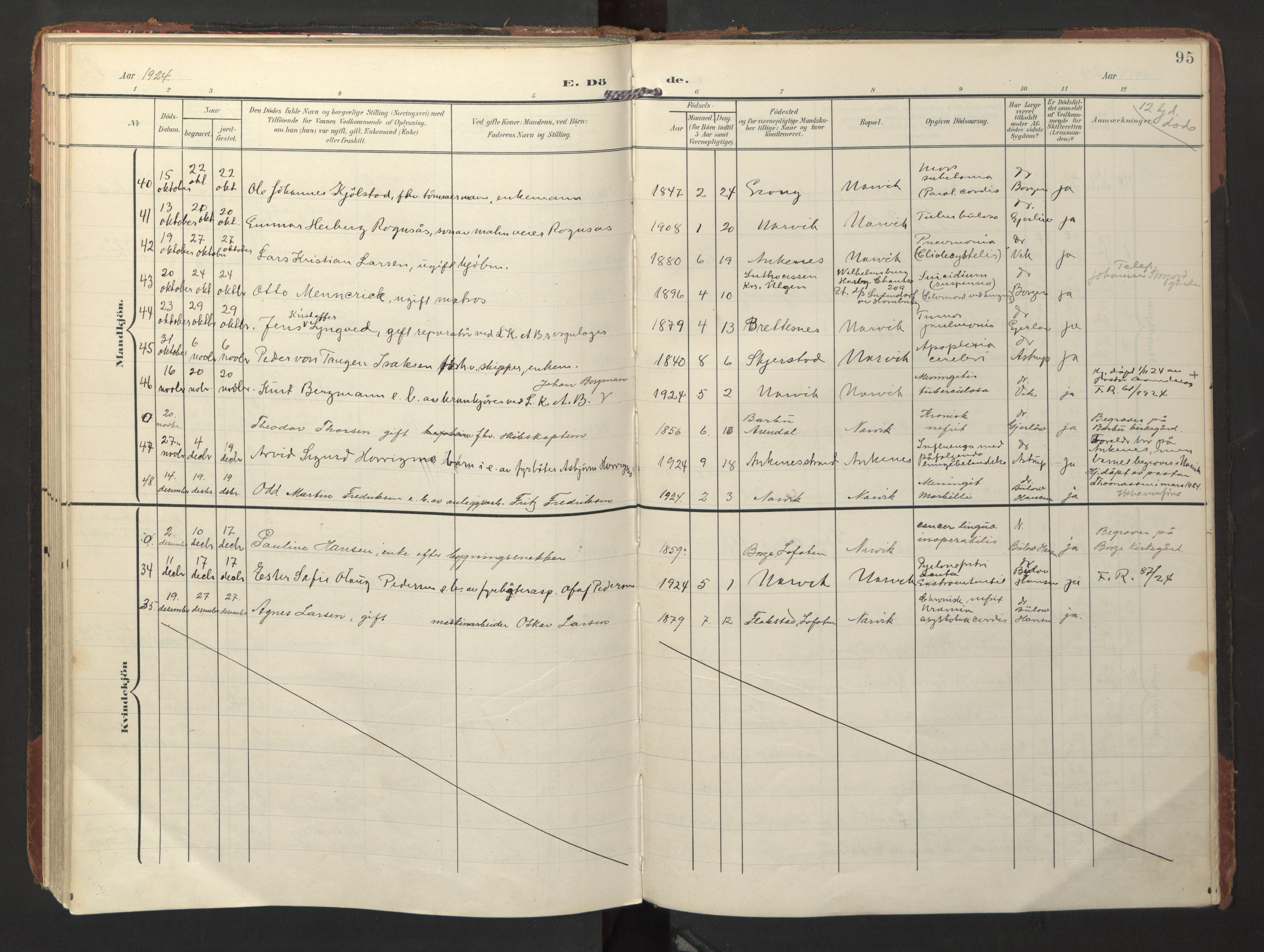 Ministerialprotokoller, klokkerbøker og fødselsregistre - Nordland, AV/SAT-A-1459/871/L1000: Ministerialbok nr. 871A16, 1902-1925, s. 95