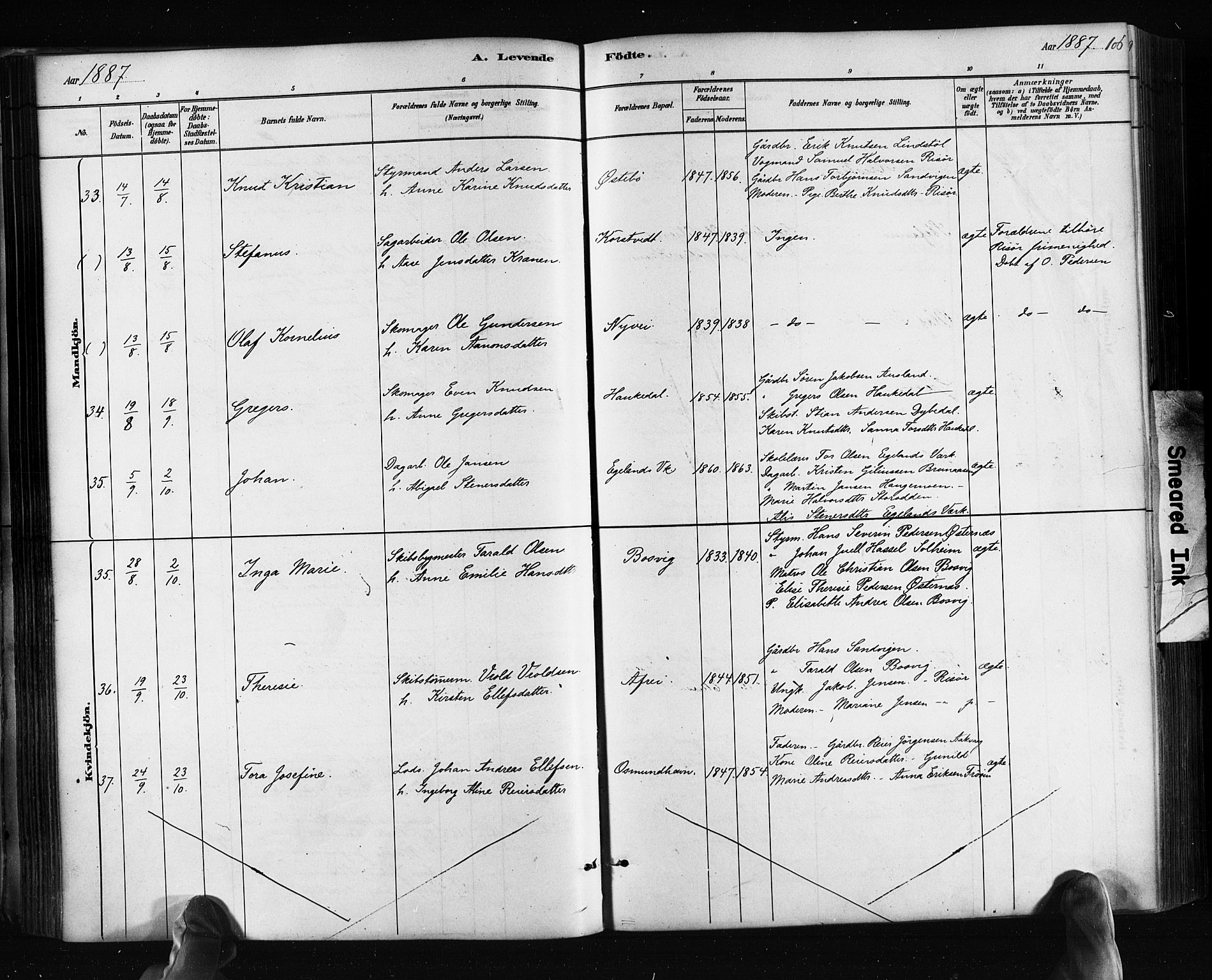 Søndeled sokneprestkontor, AV/SAK-1111-0038/F/Fa/L0004: Ministerialbok nr. A 4, 1880-1889, s. 106