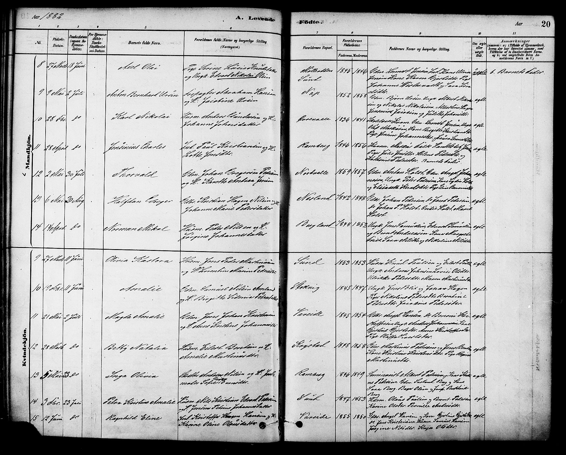 Ministerialprotokoller, klokkerbøker og fødselsregistre - Nordland, AV/SAT-A-1459/885/L1204: Ministerialbok nr. 885A05, 1878-1892, s. 20