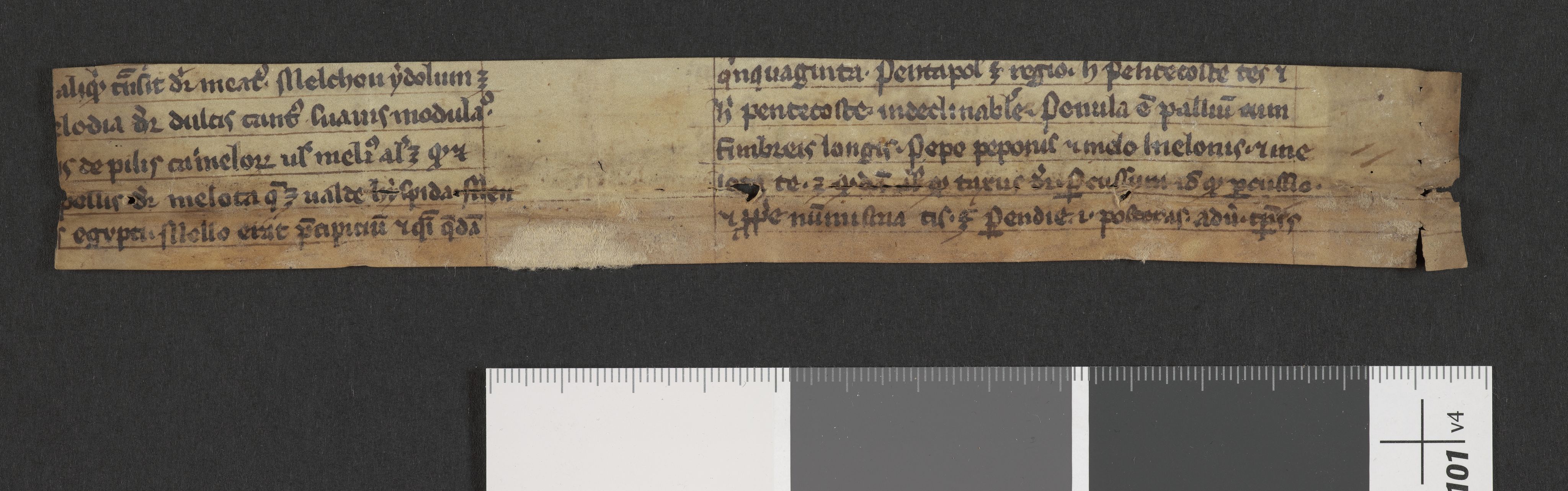 Tellefsen, Johan Christian, AV/RA-PA-0792/Fc/L0003: Membranfragmenter, 1100-1536, s. 205