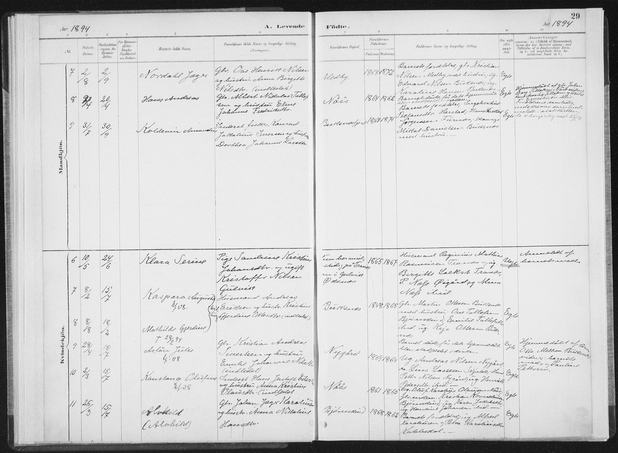 Ministerialprotokoller, klokkerbøker og fødselsregistre - Nordland, SAT/A-1459/898/L1422: Ministerialbok nr. 898A02, 1887-1908, s. 29