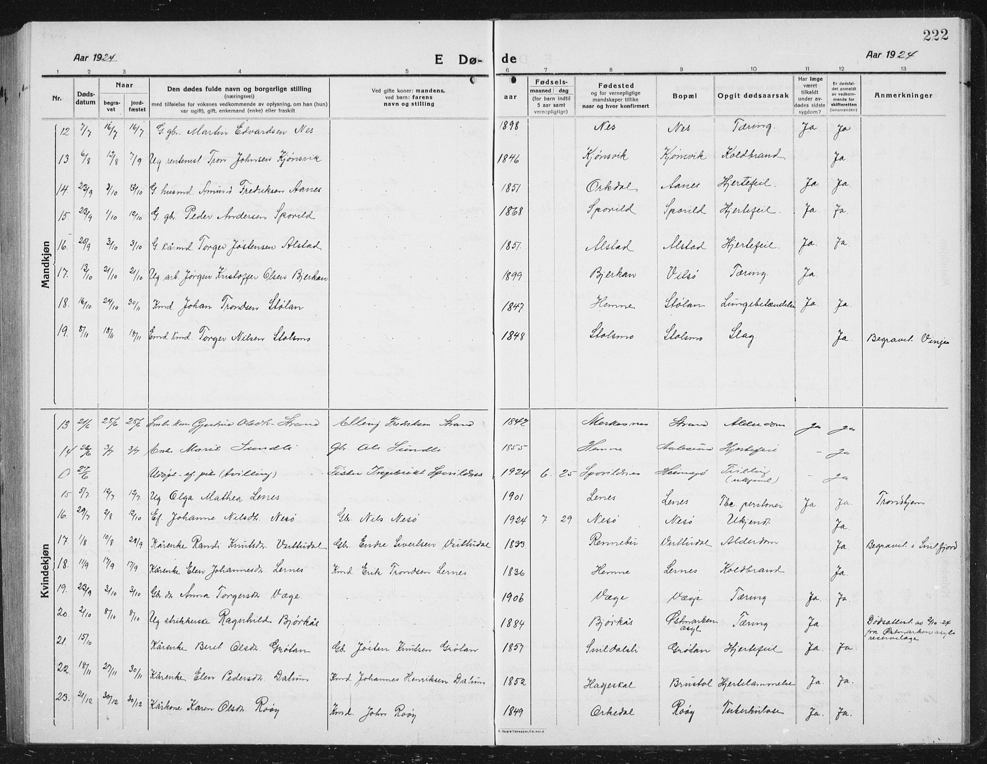 Ministerialprotokoller, klokkerbøker og fødselsregistre - Sør-Trøndelag, AV/SAT-A-1456/630/L0506: Klokkerbok nr. 630C04, 1914-1933, s. 222